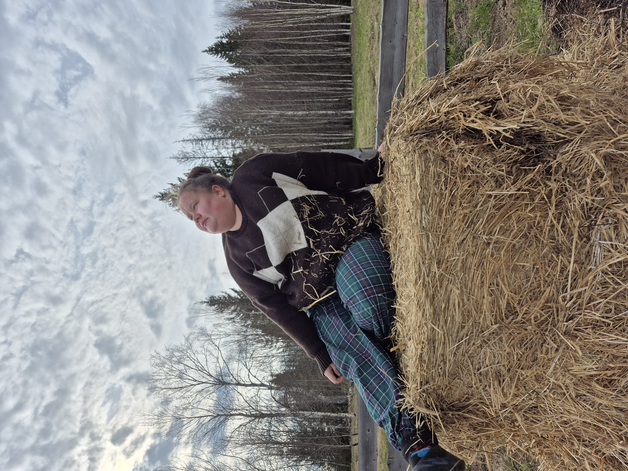 This image captures a person standing beside a large, rectangular hay bale in an outdoor, rural setting. The person, an adult with hair styled in a bun, is positioned on the left side of the hay bale. They are wearing a dark brown sweater with an off-white argyle or checkered pattern and green and red plaid pants. Their hands are resting on the hay bale, and their gaze is directed downwards and slightly to their left, conveying a thoughtful or calm expression, with slightly rosy cheeks.
The hay bale, made of dry, light brown straw with some darker sections, occupies the right portion of the frame. Behind the hay bale and extending across the middle ground is a dark wooden fence. The background is dominated by a stand of tall, bare deciduous trees, possibly birches, with lighter-colored trunks, interspersed with darker evergreen trees. Patches of green grass are visible on the ground.
The sky is overcast with a textured canopy of gray and white clouds, suggesting a muted daylight. The bare trees indicate a seasonal period of late autumn, winter, or early spring. The scene conveys a tranquil, rustic atmosphere, likely in an agricultural or semi-wild area in Дойная, Russia. No visible text is present in the image.