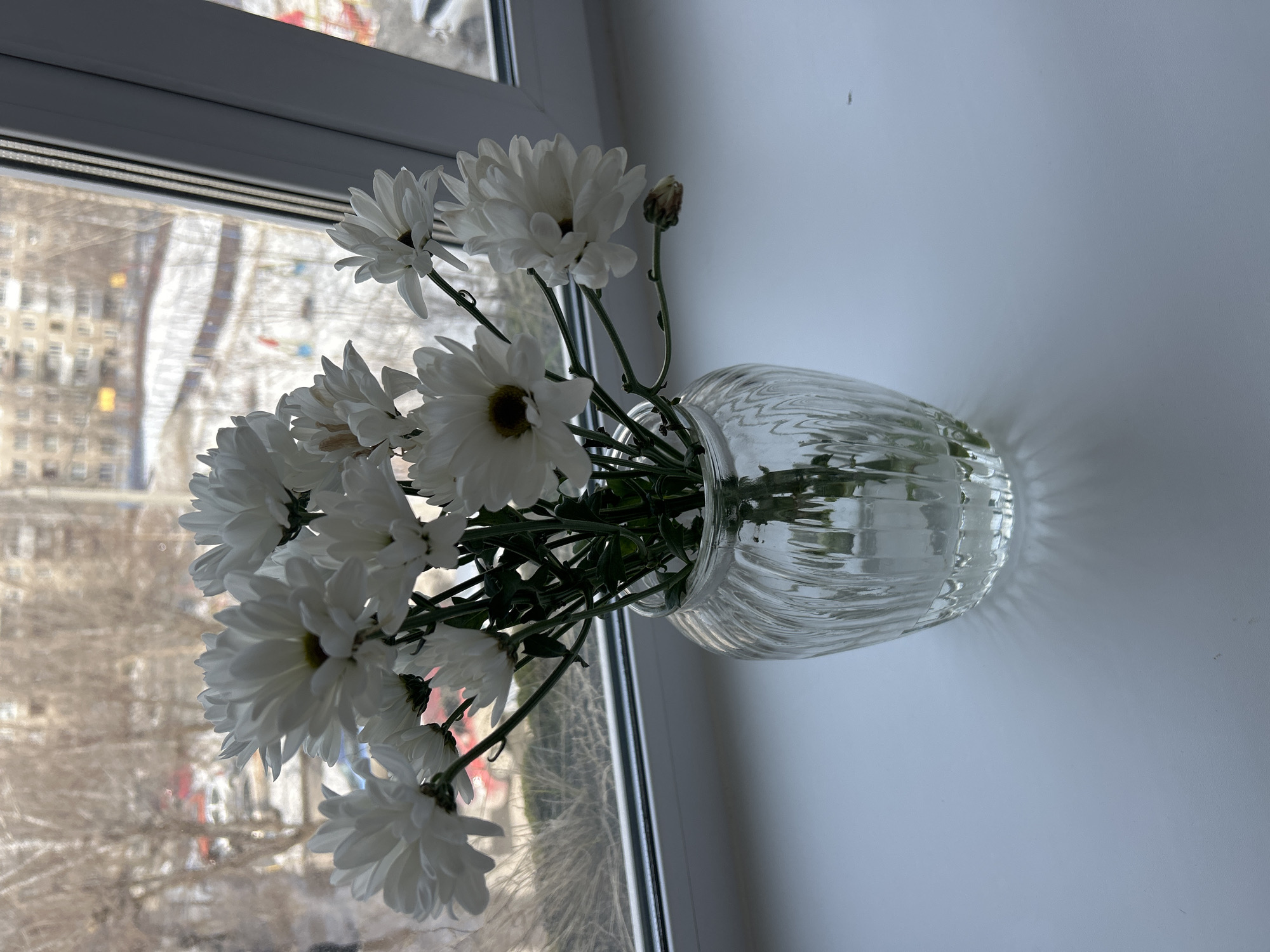 A clear glass vase, ribbed vertically, containing a bouquet of approximately twelve white chrysanthemum flowers with green stems, stands on a white window sill. The vase is partially filled with water and casts subtle shadows. One flower bud on the right appears partially closed or wilted. Beyond the window, a bare winter urban landscape is visible in the city of Unknown, Unknown. The outdoor scene includes numerous deciduous trees without leaves and ground partially covered in snow. Multi-story residential buildings are discernible in the background, along with parked vehicles, including a prominent red car. A children's playground area with visible red and blue equipment is also present, partially covered by snow. The window frame is white PVC, and the lighting is diffused daylight. No individuals are visible.