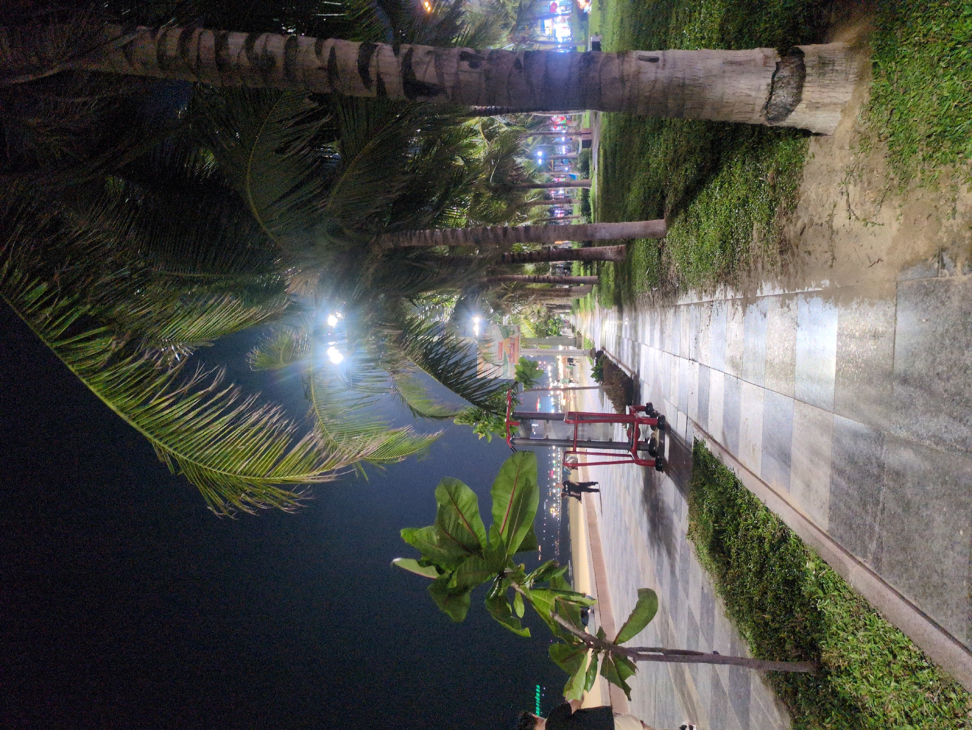 The image depicts a night scene along a walkway in Quy Nhon Ward, Vietnam. The walkway is paved with gray and white tiles and runs parallel to a beach. Palm trees line the walkway, illuminated by overhead lights. Exercise equipment is visible on the side of the path. In the background, there are distant city lights and a view of the sea. People are seen walking along the beach. The image is rotated 90 degrees counterclockwise.