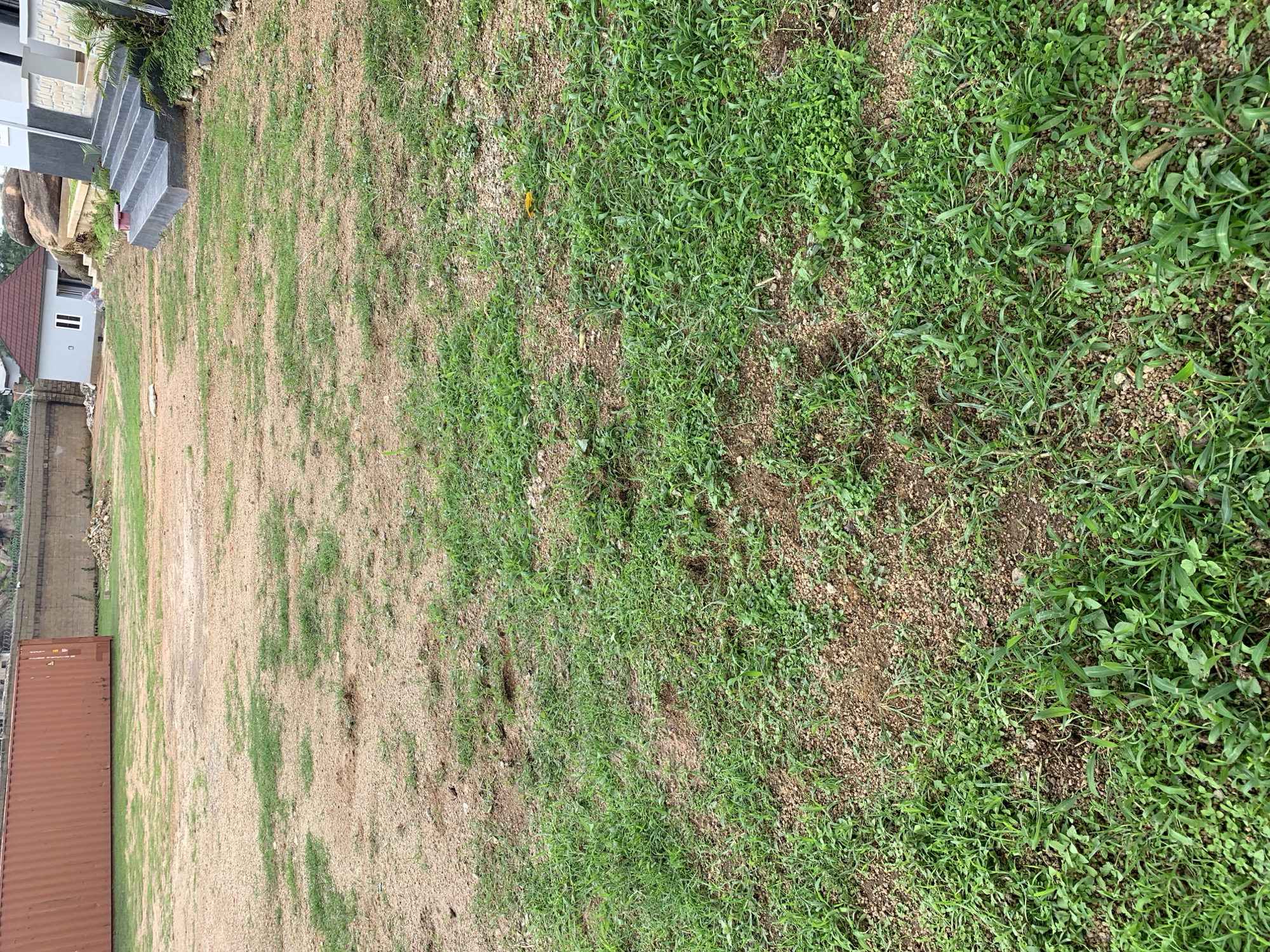 The image shows an outdoor scene in Jos, Nigeria. The primary subjects are a grassy area and a dirt patch. The grassy area is lush with green grass and some small weeds, while the dirt patch is mostly dry soil with scattered pebbles and patches of sparse grass. The two textures are divided by a clear line, creating a contrast in the ground cover.
In the background, to the left of the image, a modern building with grey and white facade is visible. There are outdoor stairs leading up to the building, and a large rock is embedded next to the stairs. A small red-roofed house is also partially visible behind a low wall. Further in the distance, a large brown shipping container is placed on the ground. The overall setting appears to be a partially developed area or a construction site, with a mix of natural elements and man-made structures.
There are no people or animals visible in the image, and the scene appears to be static. The lighting suggests it is daytime, likely with diffused light, possibly indicating overcast weather or a time of day with less direct sunlight. The presence of the shipping container and the construction elements suggest an active development or storage area. No visible text is present in the image.