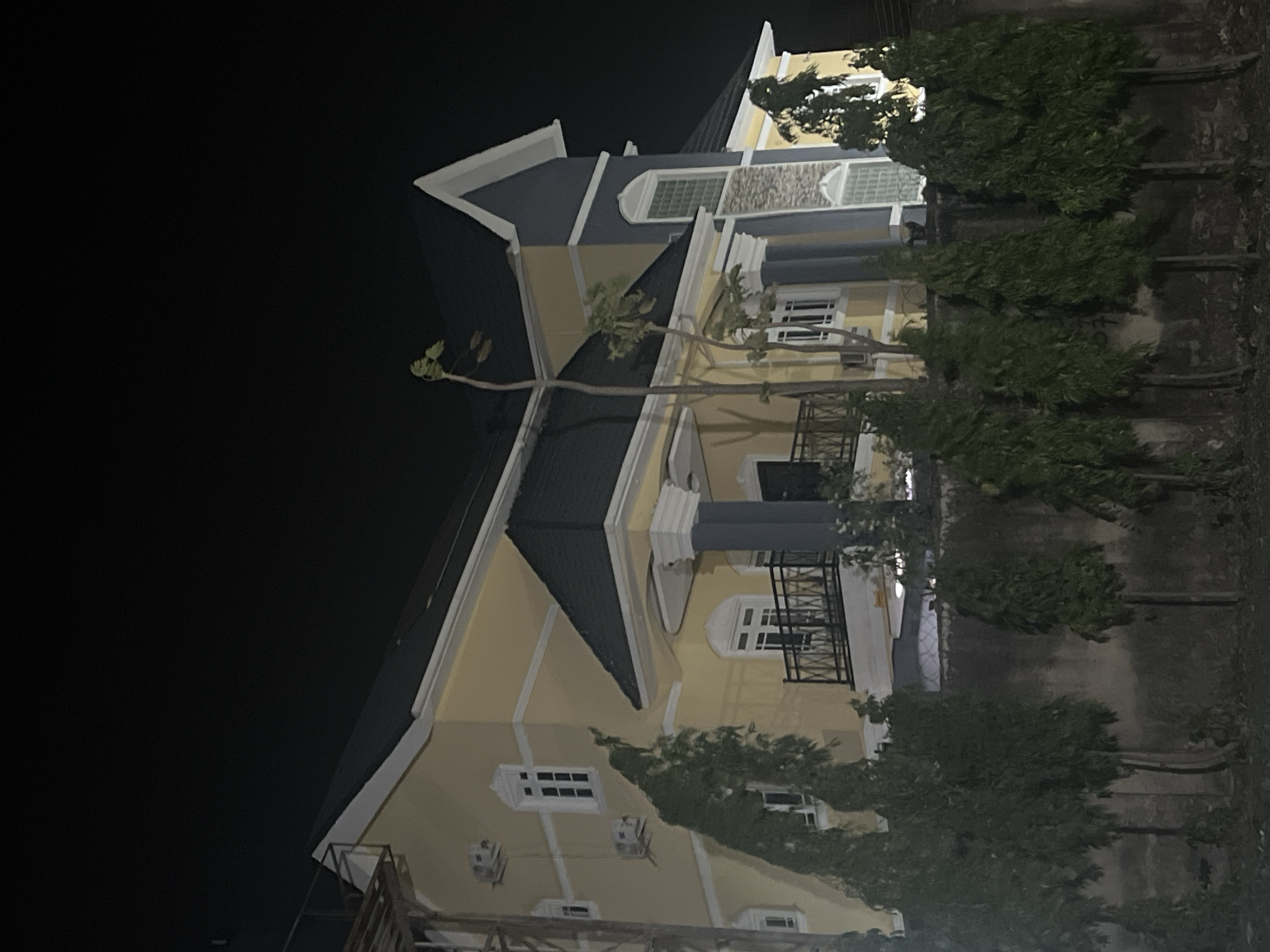 The image captures a large, stately house at night in Abuja, Nigeria. The multi-story building boasts light yellow walls complemented by dark grey pitched roofs, exhibiting a classical architectural style with prominent white cornices, window frames, and decorative elements. Visible features include several windows, some with traditional panes and others, like a curved dormer window on an upper floor, displaying patterned glass. Black metal railings adorn balconies, some supported by large white columns. Multiple white air conditioning units are mounted on the exterior walls.
To the right of the house, a line of tall, slender trees with dark green foliage stands alongside a low, dark fence or wall, which recedes into the background. A distinctive bare branch extends horizontally across the central part of the house from the left. The sky is completely dark, indicating it is nighttime, and the scene is illuminated by artificial lights emanating from or around the house, making its architectural details stand out against the deep black backdrop. The ground near the trees appears dark and unpaved. No people or visible text are present in the image.
