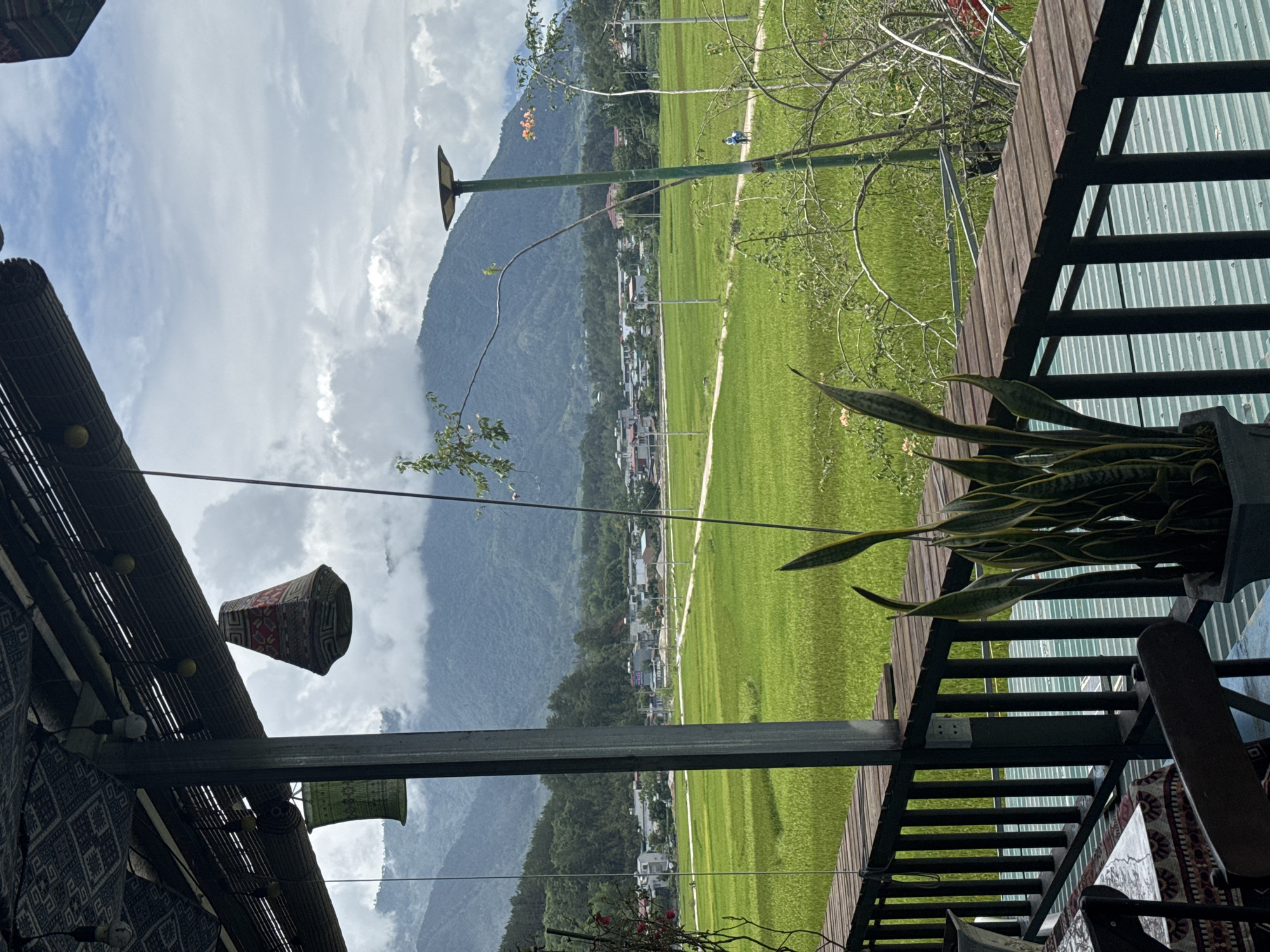 From an elevated perspective, the image captures a view in Than Uyên, Vietnam. Dominating the scene is a vibrant green rice field extending towards a small town nestled at the base of a mountain range shrouded in clouds. A narrow path cuts through the field, suggesting human activity, possibly a farmer. Foreground elements include parts of a building, indicated by a patterned overhang and a metal support structure, plus wooden decking and a section of railing, enclosing a sitting area. A potted snake plant is partially visible on the right. Decorative lanterns hang from the building's roof. The sky above the mountains is cloudy.