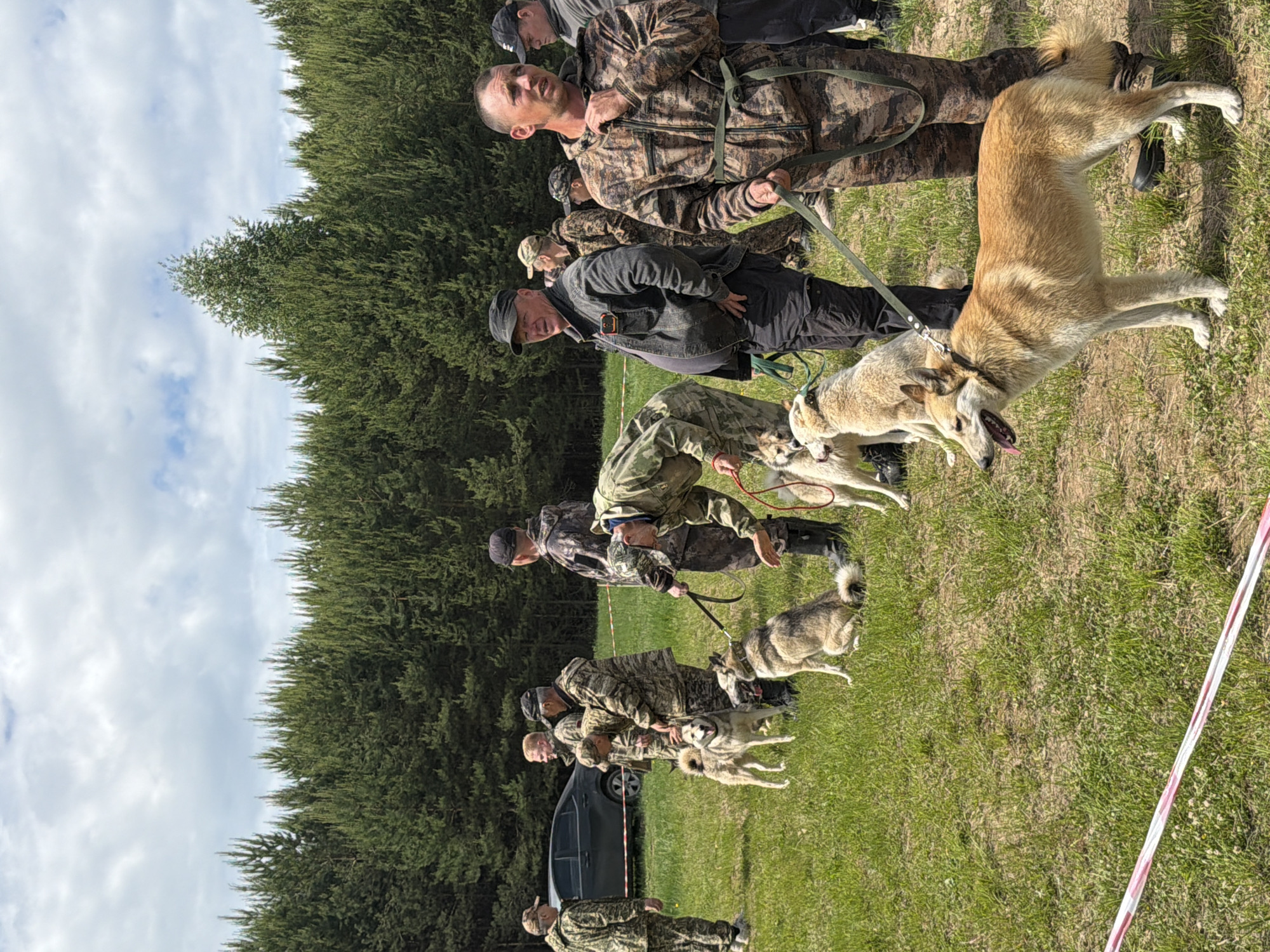A group of people, primarily dressed in camouflage clothing, stand with dogs in a grassy area near a forest. The sky is partly cloudy. There is a car parked in the background, and red and white tape is visible on the grass. The location is Chaikovsky, Russia. The people appear to be handlers, and the dogs are leashed.