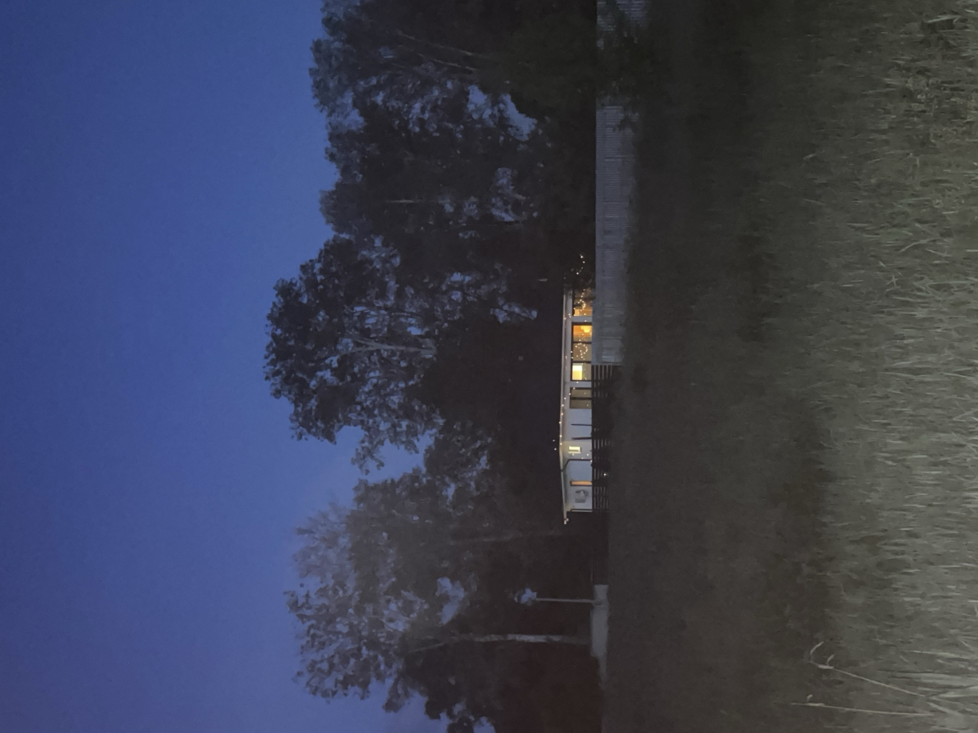 This image depicts a static nocturnal scene in Petrivka, Ukraine. The upper half of the frame is dominated by a clear, deep blue sky. A dense line of tall, dark-foliaged trees forms a backdrop across the middle ground, extending to both sides of the frame. Centrally positioned in the middle ground is a single-story house featuring a dark roof and white exterior walls with dark vertical elements. The house is illuminated from within, with multiple windows emitting a warm yellow-orange glow. Small, round, white exterior lights are visible on its facade. To the immediate left of the house, an upright pole with a white rectangular object is situated amidst the trees. A light-colored, horizontal slatted fence runs in front of the house, separating it from the foreground. The foreground consists of an expanse of tall, unkempt grass, rendered in shades of dark green and grey under low ambient light. No individuals or active subjects are present.
