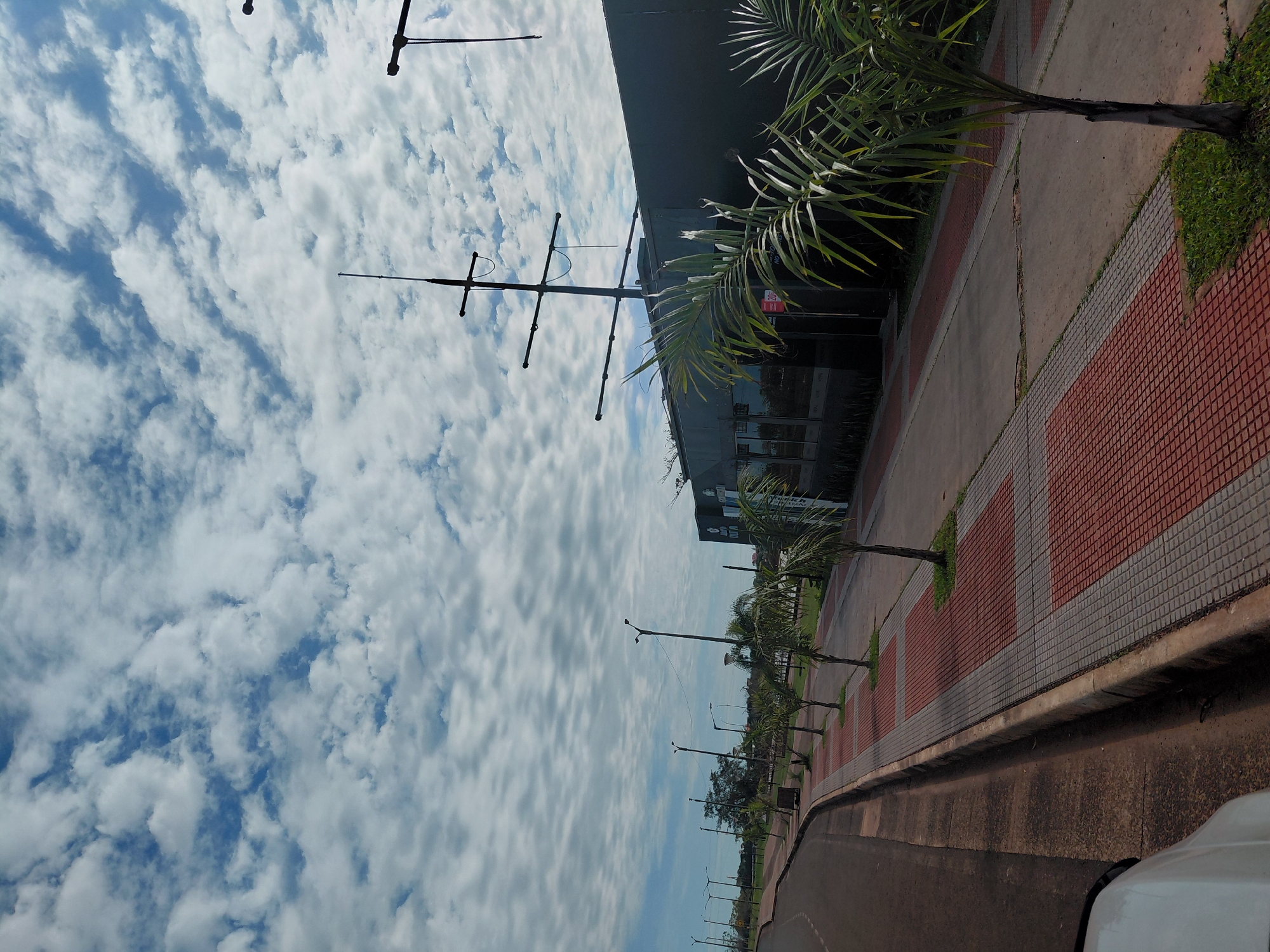 The image captures a scene in the city of Encarnacion, Paraguay, featuring a modern, dark-colored building with a distinct ship's mast structure on its roof. The building appears to be a commercial establishment, with large windows visible along its facade. In front of the building, a tiled walkway with red and gray squares runs alongside a street. Several young palm trees are planted along the walkway, interspersed with patches of grass. The sky is filled with scattered white clouds against a bright blue backdrop. The street itself is paved and curves out of view to the left, with a concrete curb separating it from the walkway. The overall impression is one of a well-maintained urban environment with a touch of nautical-themed architecture.