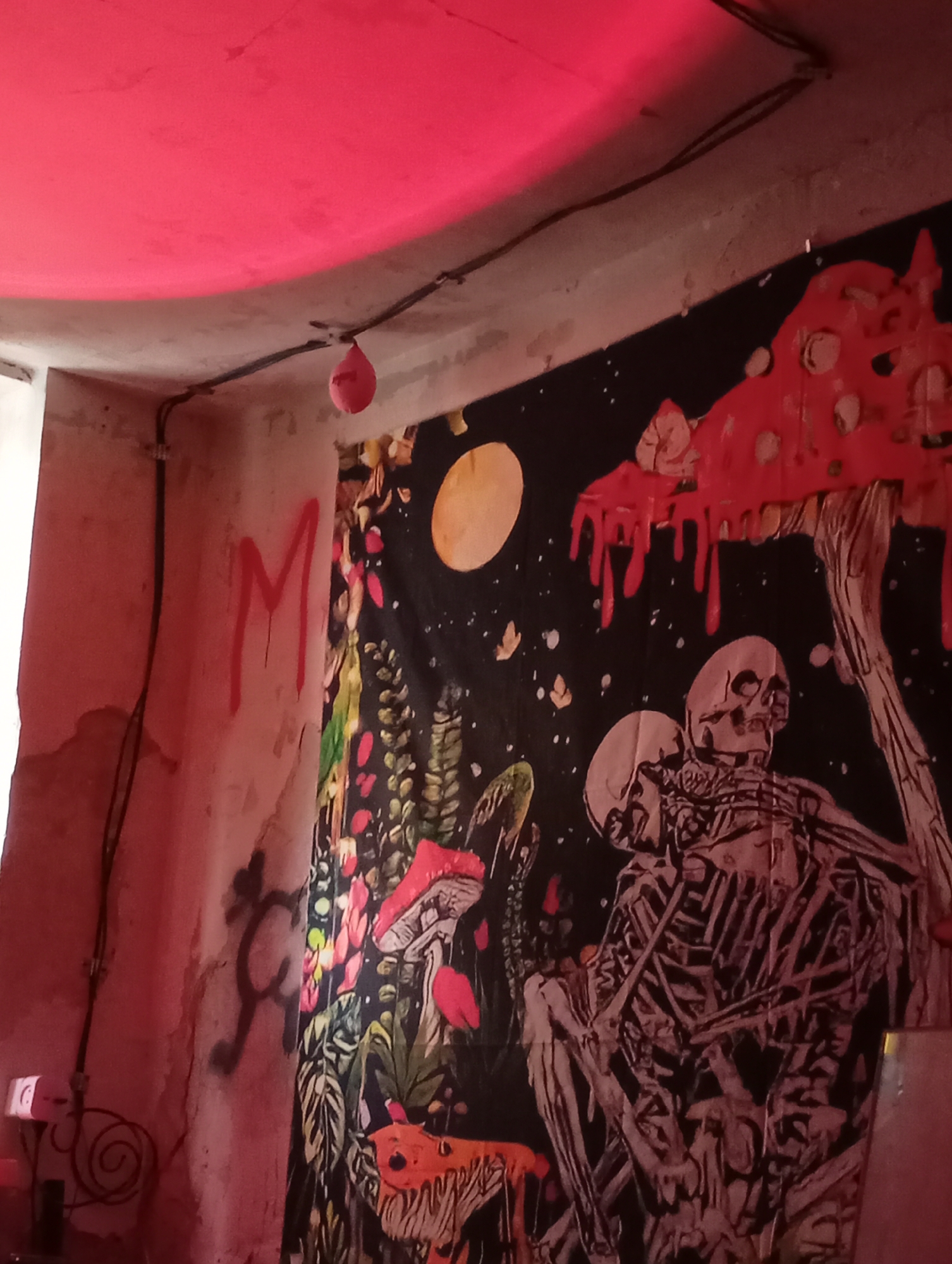 The image shows an indoor setting in Krasnodar, Russia, with a red-lit ceiling and bare concrete walls. A black tapestry dominates the view, featuring a graphic design of skeletons, fungi, and a moon. Graffiti is visible on the walls, including a large letter "M" in red paint. Electrical wiring runs along the ceiling and down the walls. The scene evokes a grunge aesthetic.