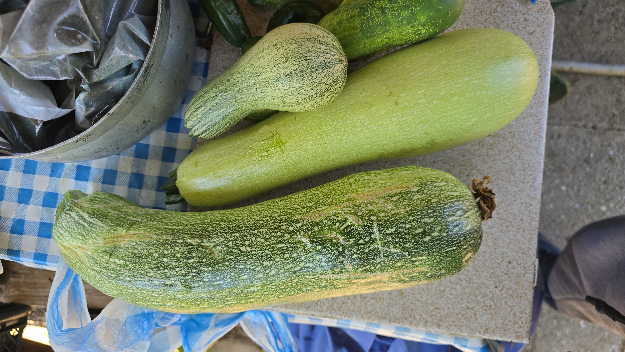 At eye-level, an overhead shot captures an assortment of fresh produce, primarily zucchini and cucumbers, arranged on a speckled light-brown countertop. The scene is outdoors, implied by the natural lighting and the presence of a blue and white checkered tablecloth in the background. To the left, a large, ribbed green zucchini with white speckles dominates the foreground, its stem end showing a dry, brown texture. Next to it, a lighter green, smoother zucchini lies horizontally. A smaller, pale green, ridged zucchini, resembling a lighter variety of squash, is positioned above the second zucchini. To the right, partially visible, are two bumpy, dark green cucumbers. In the upper right corner, a large, weathered metal bowl contains several plastic-wrapped items. A blue and white plastic bag is also visible to the left of the produce. The overall impression is of fresh vegetables prepared for sale or consumption, likely at a market stall in the village of Ravadinovo, Bulgaria.