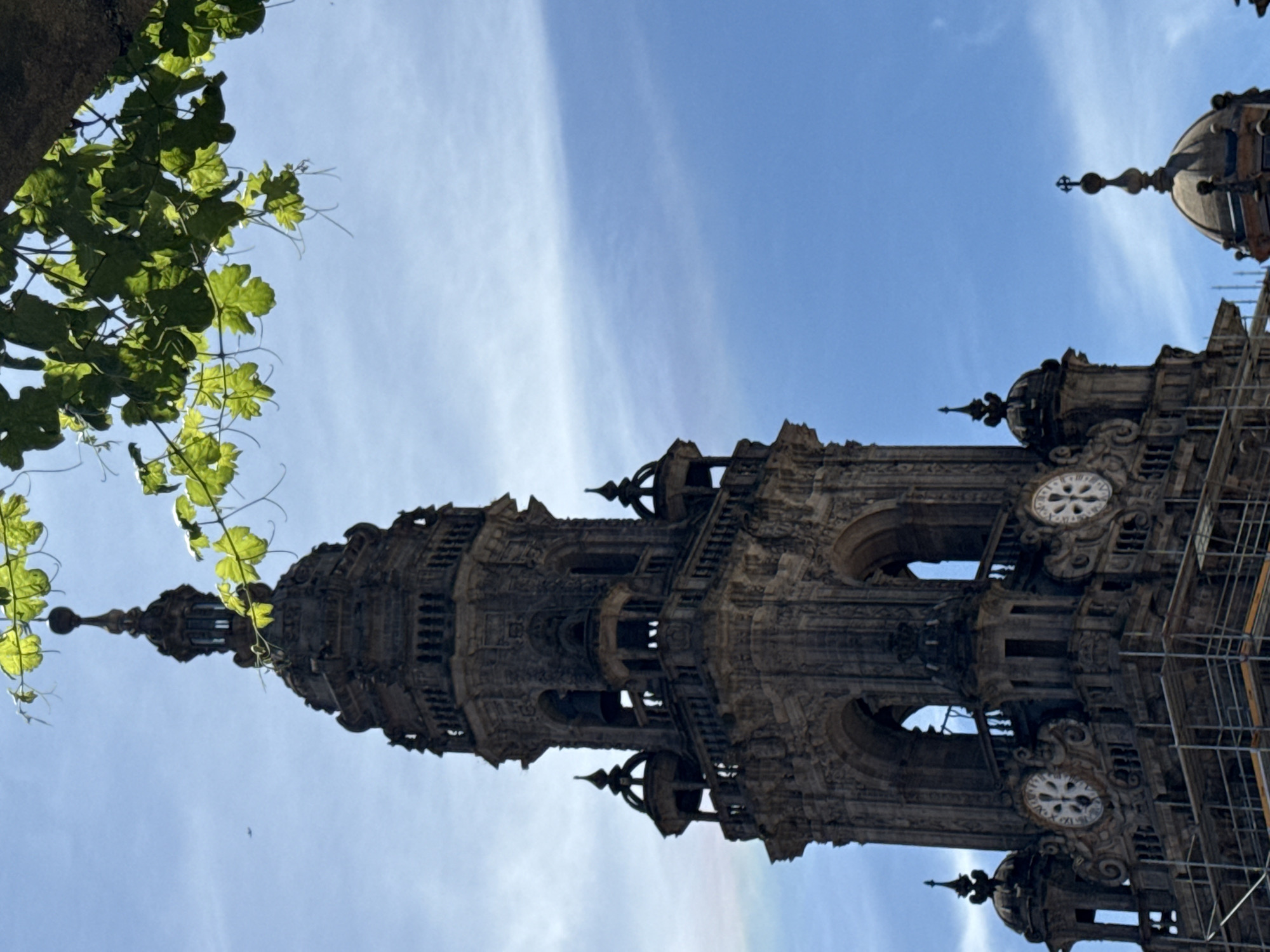 This is a low-angle, medium shot of the Obradoiro facade of the Santiago de Compostela Cathedral in Santiago de Compostela, Spain. The intricately carved stone bell tower, with its multiple levels of arches, balconies, and ornate decorations, dominates the frame. Two large clocks are visible on the tower, one on the left and one on the right, both displaying roman numerals. Scaffolding surrounds the lower portion of the tower, indicating ongoing maintenance or construction. Smaller domed structures with spires are visible to the right of the main tower, and at the very top of the image, green leaves from an overhead tree hang into the frame, partially obscuring the bright blue sky with wispy white clouds. A tiny airplane is visible in the upper left portion of the sky.