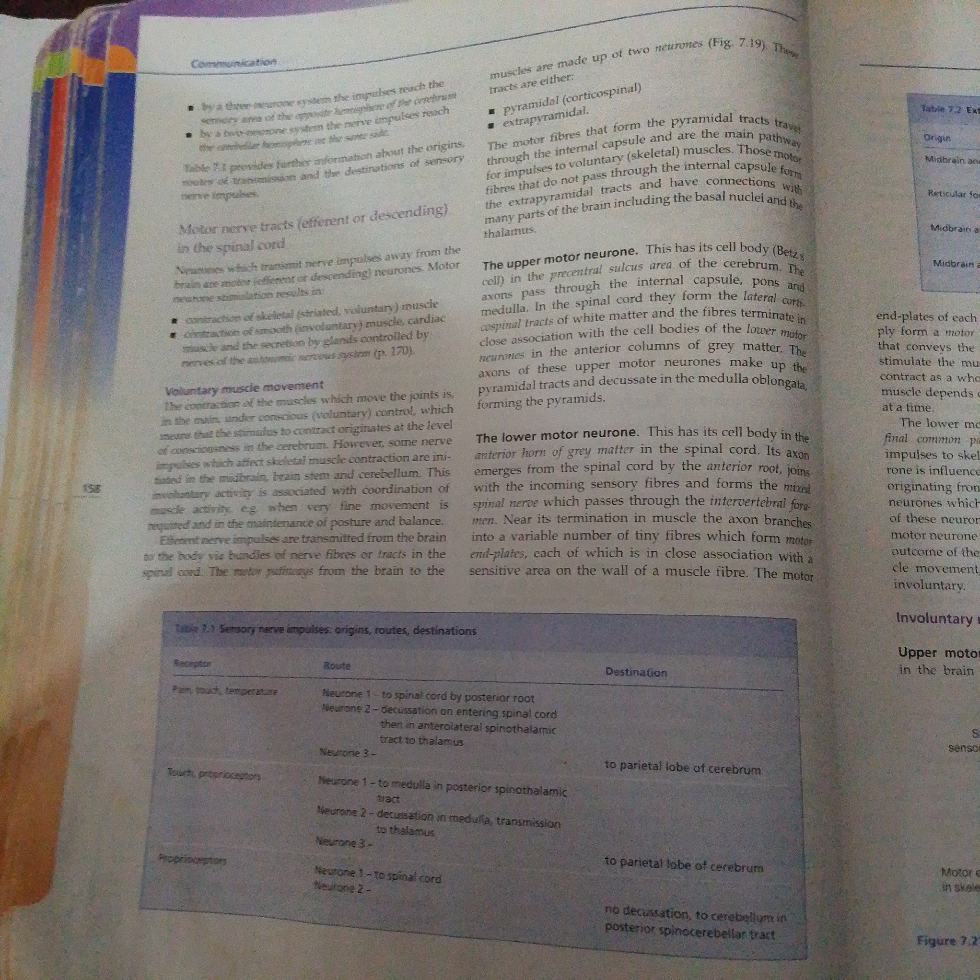 The image is a photograph of an open book, showing two pages of text and a table. The text discusses the nervous system, specifically motor nerve tracts, voluntary and involuntary muscle movement, and sensory nerve impulses. There are no people, objects, or scenes outside of the book itself. The setting appears to be indoors, likely a study or library, given the context of an academic book.
On the left page, the main heading is "Communication." Below this, there are bullet points describing neural pathways and a section titled "Motor nerve tracts (efferent or descending) in the spinal cord." Further down, there is a subsection on "Voluntary muscle movement" and a partially visible table labeled "Table 7.1 Sensory nerve impulses: origins, routes, destinations." Some text on this page is partially obscured by the book's binding.
The right page continues the discussion on motor neurons, with sections titled "The upper motor neurone" and "The lower motor neurone." A table labeled "Table 7.2 Ext" is also visible, along with text describing the function of motor neurons and involuntary movement. The page number "158" is visible in the bottom left corner of the left page.
The text is in English. There are no indicators of time of day, weather, or emotions. The location context provided (Jalingo, Nigeria) is not directly derivable from the image content itself, but rather from external information.