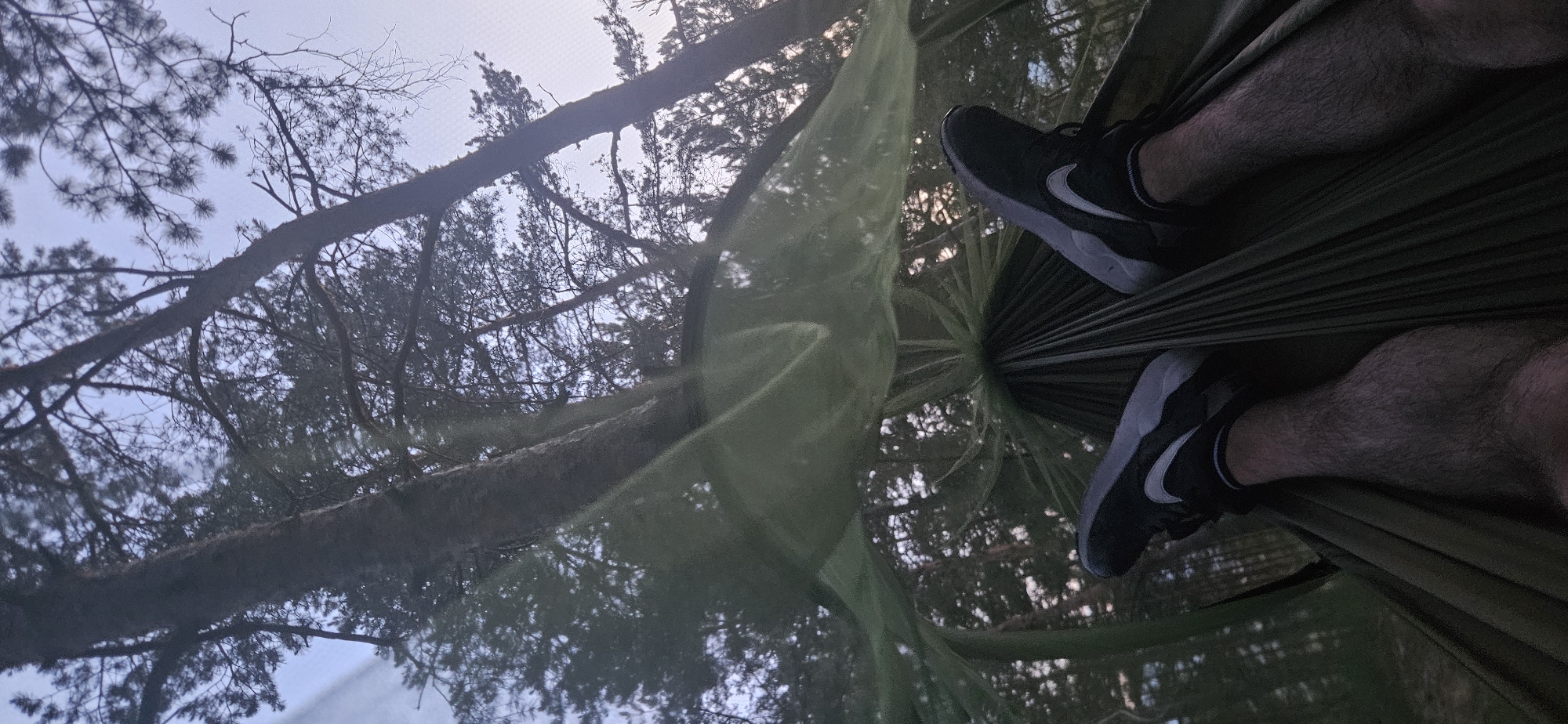 The image shows a low-angle, first-person perspective of someone relaxing in a hammock suspended between trees in a forest. The viewer's legs, clad in dark athletic shoes with white accents and dark socks, are visible in the foreground, resting in the hammock. The hammock is made of dark green fabric. A light green mosquito net is draped over the hammock and extends upwards, obscuring parts of the trees and sky. Through the net, tall pine trees with sparse foliage are visible against a pale, overcast sky. The overall lighting suggests either dawn or dusk.