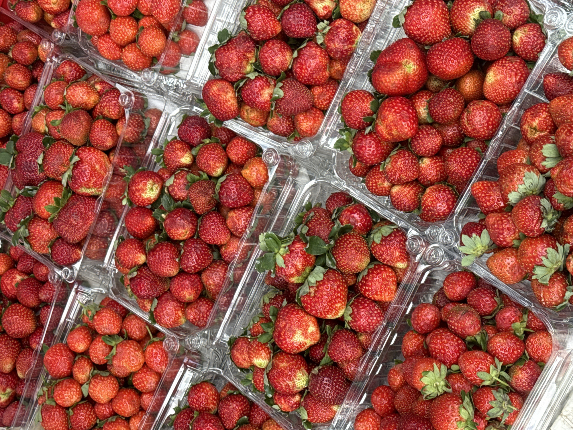 The image displays an overhead view of numerous clear plastic containers filled with fresh, ripe strawberries. The containers are arranged in a grid-like fashion, suggesting a market stall or a wholesale display. The strawberries are predominantly red, with some showing hints of green near the stems. The lighting suggests an outdoor or well-lit indoor setting. There are no people visible in the image. The scene appears to be a retail display of produce, likely in a market setting in Da Lat, Vietnam, known for its strawberry cultivation.