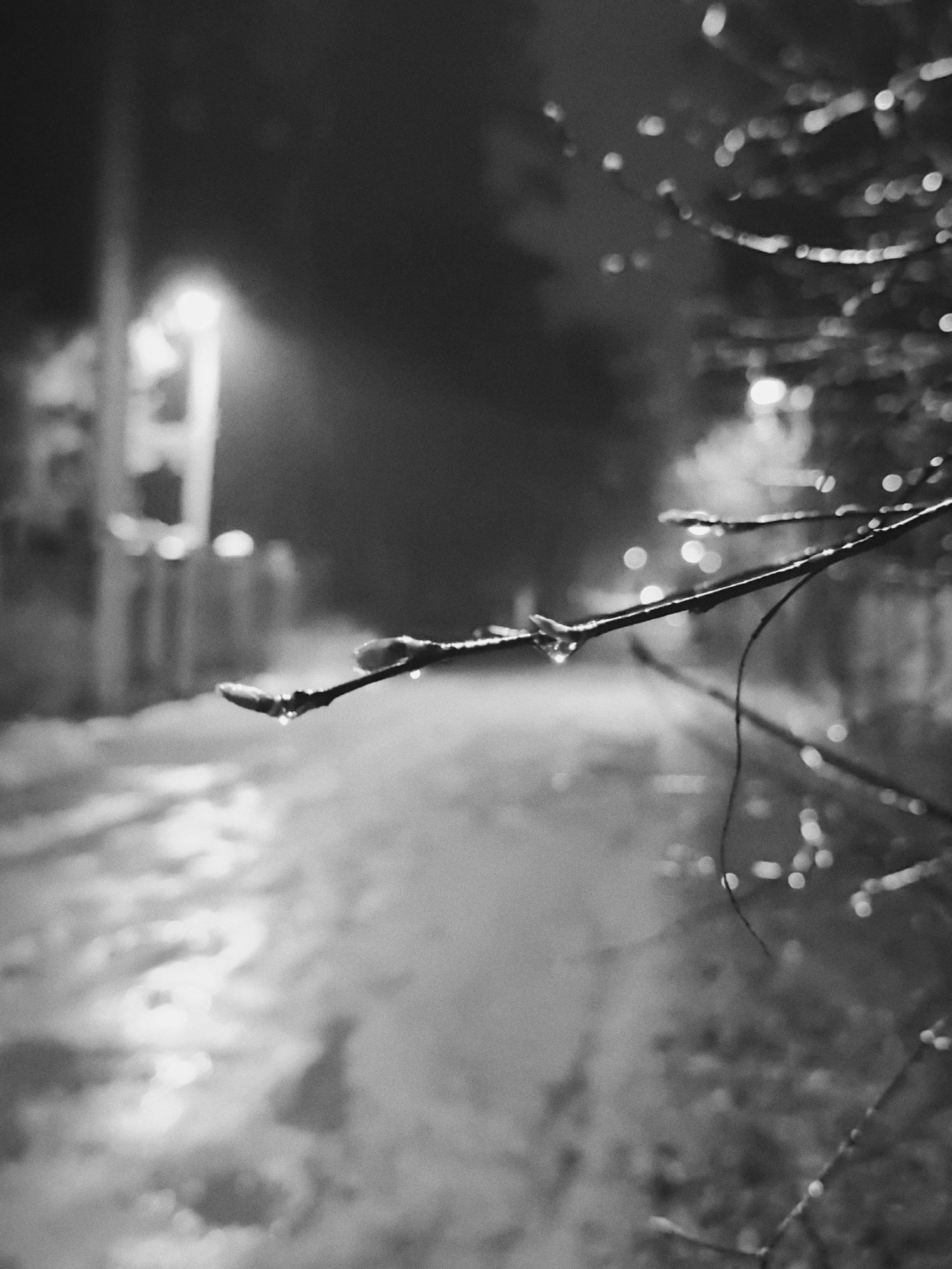 A black and white photograph shows a street scene at night. In the foreground, a tree branch extends from the right, covered in small droplets. The background reveals a path or road covered in slush or snow, reflecting light from a street lamp on the left. A fence runs alongside the path. Based on the location, it is assumed to be a cold environment. There are no people visible in the image.