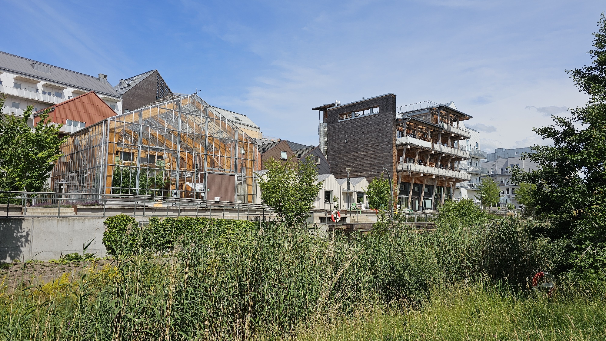This is an exterior, eye-level shot of a modern building complex with a greenhouse in the foreground. The building on the left is a large greenhouse with a wooden frame and glass panels, filled with greenery. To the right of the greenhouse is a multi-story building constructed with dark wood and featuring exposed wooden beams and balconies. In the background, several modern apartment buildings with white facades and balconies are visible. A body of water with tall grasses and reeds lines the foreground, suggesting a waterfront or park setting. The sky is blue with some scattered clouds, indicating it's likely daytime and pleasant weather. There is no visible text in the image. The overall scene conveys a sense of sustainable and contemporary architecture integrated with nature.