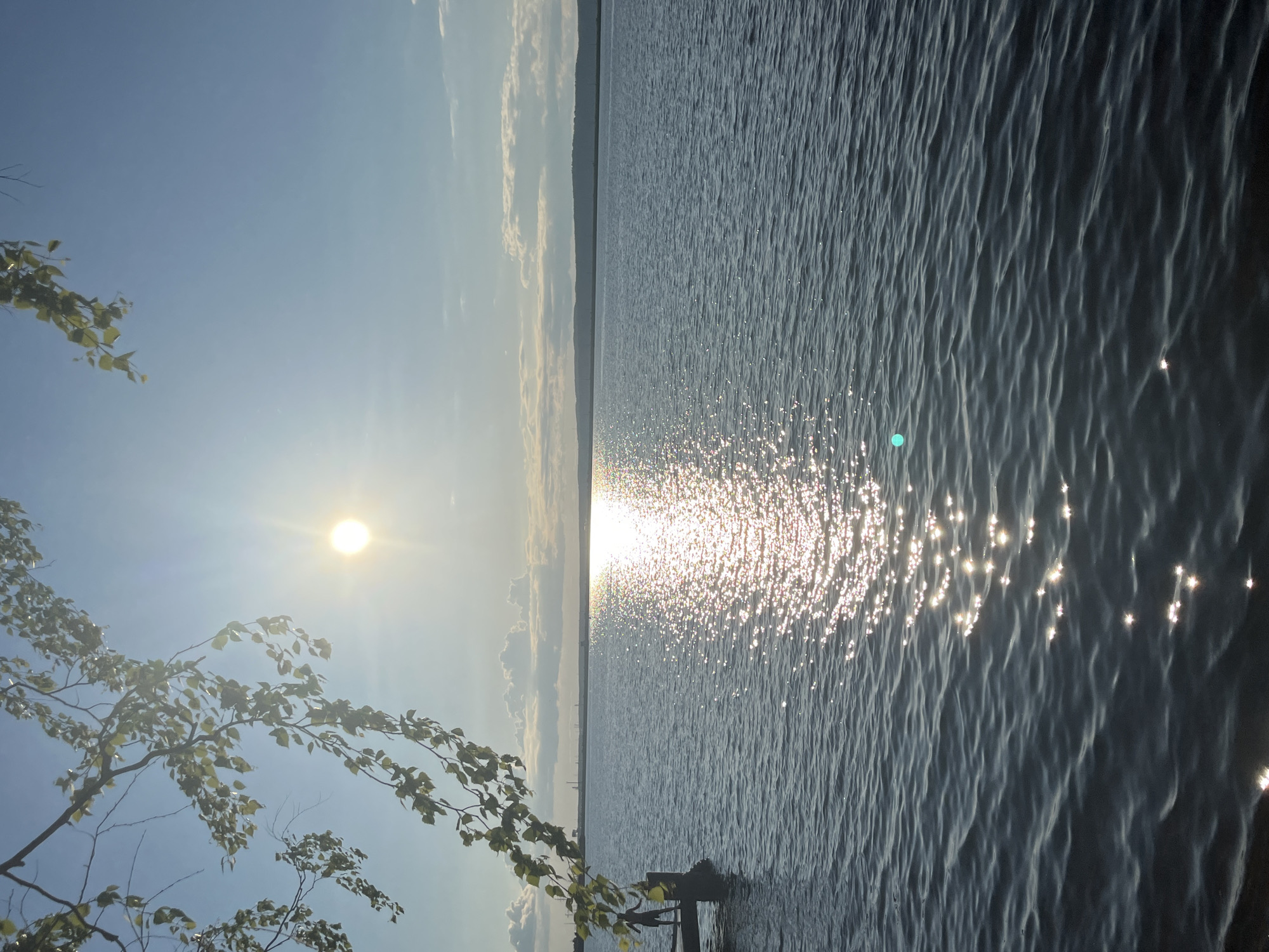 The image captures a serene outdoor landscape, rotated 90 degrees counter-clockwise. When viewed correctly, it depicts a vast body of water, likely the Votkinsk Reservoir near Chaikovsky, Russia, stretching towards a distant, low horizon. The sky, a clear blue with scattered light clouds, occupies the upper portion of the frame.
The most prominent feature is the bright, glowing sun, positioned towards the left of the frame, low in the sky. Its intense light creates a dazzling path of sparkling reflections across the water's surface, extending from the horizon towards the viewer. The water itself shows numerous small ripples and waves, catching the sunlight and appearing dark blue to grey where not directly reflecting the sun.
In the bottom-left foreground, branches of a deciduous tree with green leaves partially frame the scene, suggesting the photo was taken from a shoreline or a slightly elevated position near the water's edge. The overall impression is one of peaceful natural beauty, likely at sunrise or sunset, given the sun's low position and the quality of light.
There are no people or specific activities visible in the image. No discernible text is present. The weather appears clear and calm, enhancing the tranquil atmosphere.