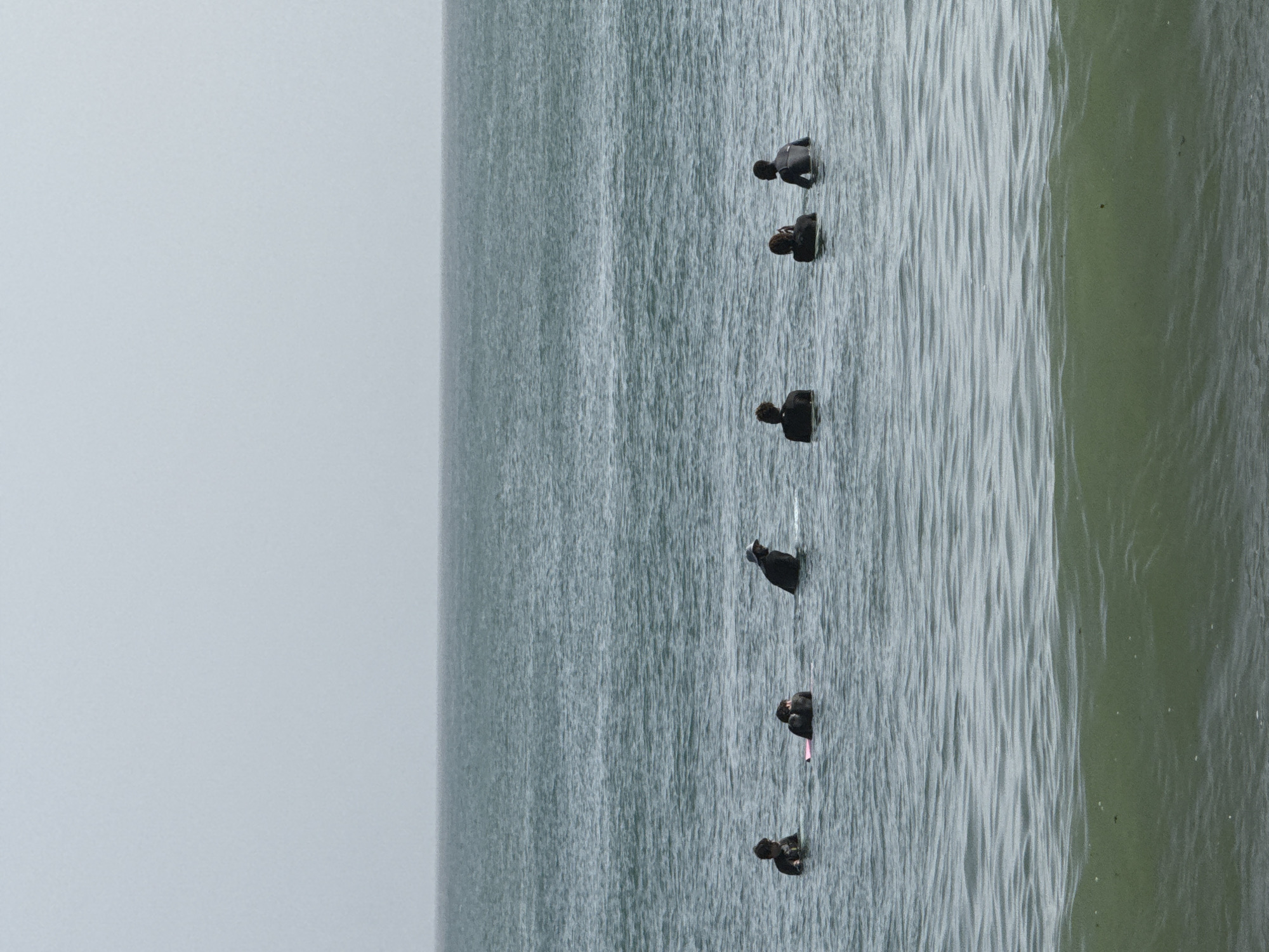 The image depicts a line of what appear to be American coots swimming in the ocean, presumably near the coast. The water transitions from a grey-blue color in the distance to a greenish hue closer to the edge of the image. The sky is overcast and a light grey color. The exact location within Dakar, Senegal cannot be determined from the visual information in the image.