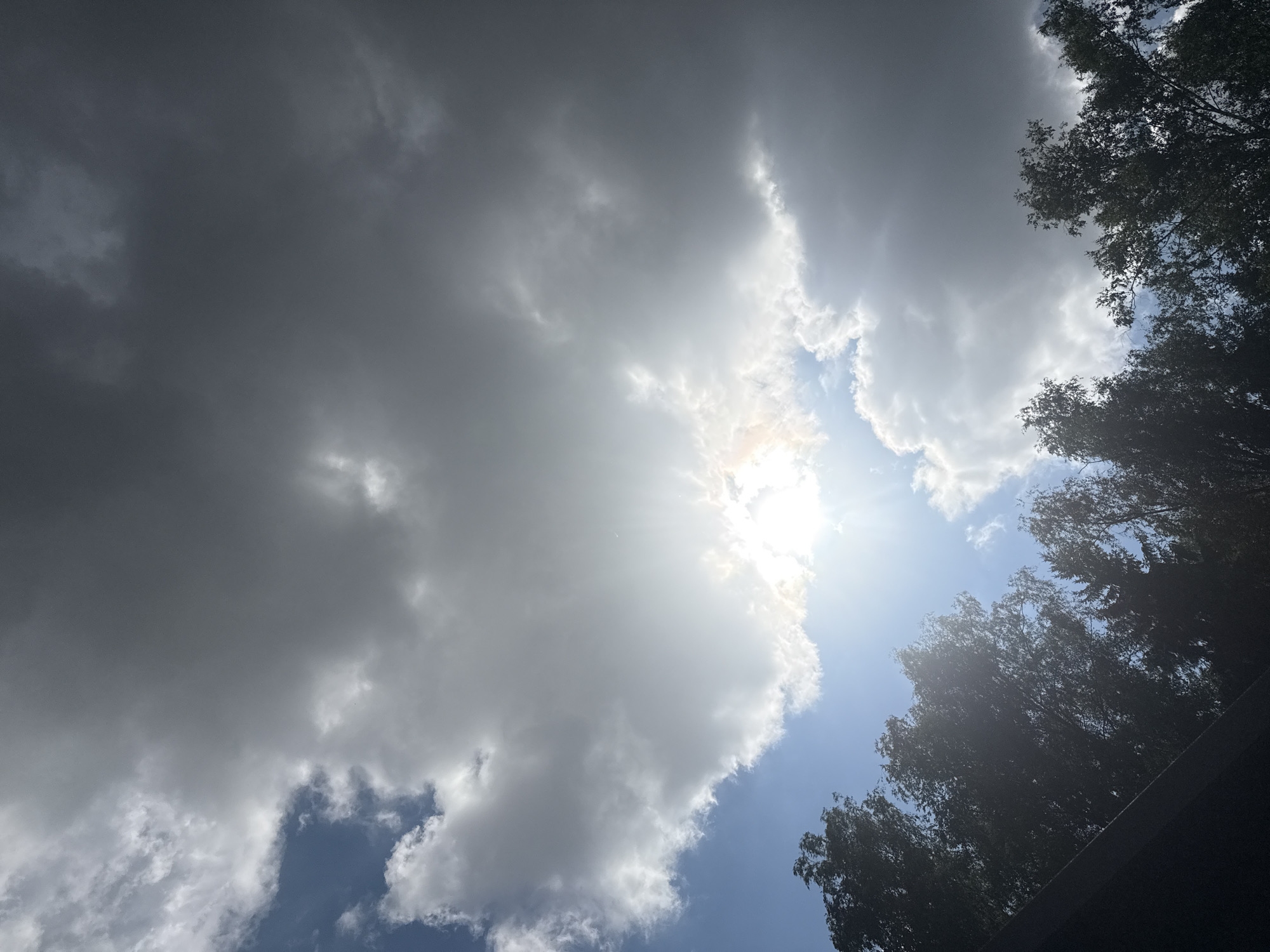 The image shows a sky filled with dramatic clouds. A bright sun is visible, partially obscured by a large, bright cloud in the center, casting rays of light. To the right, the clouds are darker and appear heavy, suggesting possible rain. The bottom portion of the image shows the tops of trees silhouetted against the sky, with some blue sky visible between them. The overall scene depicts a dynamic and somewhat turbulent sky. The location is specified as the city of Mahilyow, Belarus.