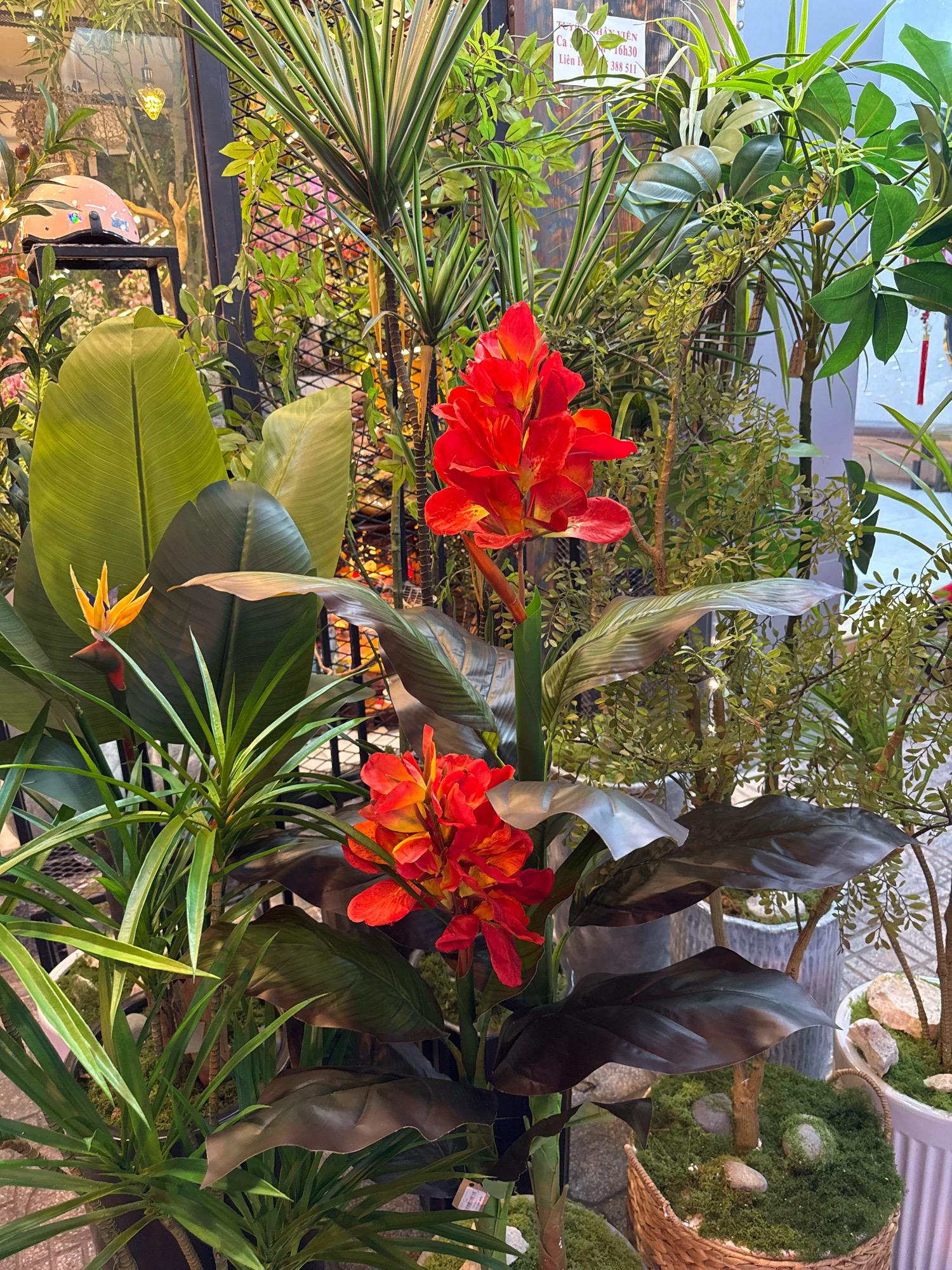 This is a close-up, eye-level, artificial light photograph of an indoor display of artificial plants, likely at a shop in Nha Trang, Vietnam, given the Vietnamese text visible on a sign in the upper right quadrant of the image. The focal point is two bright red and orange canna lily-like artificial flowers. One bloom is larger and more central, while a smaller one is positioned below and to the left. Surrounding these prominent flowers are various artificial greenery, including large, broad, dark green leaves that appear to be from a banana or elephant ear plant, and tall, slender, variegated green and white leaves resembling a Dracaena. To the left of the central flowers, a single artificial bird of paradise flower with yellow petals and a red base is visible. The background is a dense arrangement of more artificial foliage, with hints of metal grating and a glass display case on the left showing a light-colored helmet with stickers. The plants are arranged in planters, some of which are visible and appear to be woven baskets filled with green moss and stones. The lighting is bright and even, suggesting an indoor retail environment.