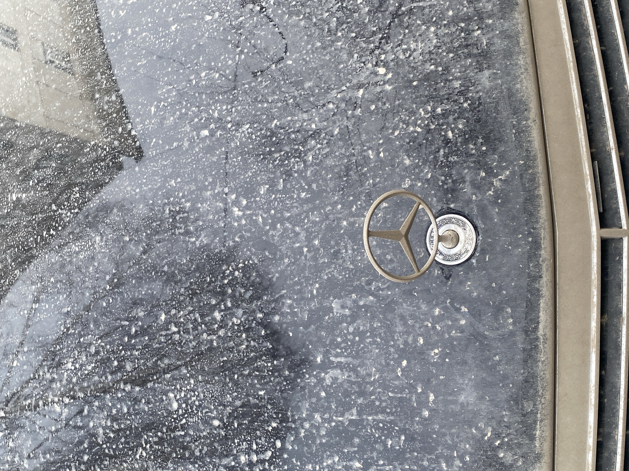 The image displays a close-up, downward-angled view of the front hood of a dark-colored Mercedes-Benz vehicle, located in Chaikovsky, Russia. The car's hood is extensively covered in a layer of light-colored dirt, dust, and dried water spots, partially obscuring the underlying paint. A tarnished, possibly brass or bronze, Mercedes-Benz hood ornament featuring the three-pointed star within a circular base is centrally mounted on the hood. Below the hood, the top portion of a metallic grille, also soiled with grime, is visible. Reflections on the car's surface (likely the windshield or upper hood area) show bare tree branches on the left and a light-colored building with windows on the right. No individuals or specific actions are present in the scene.