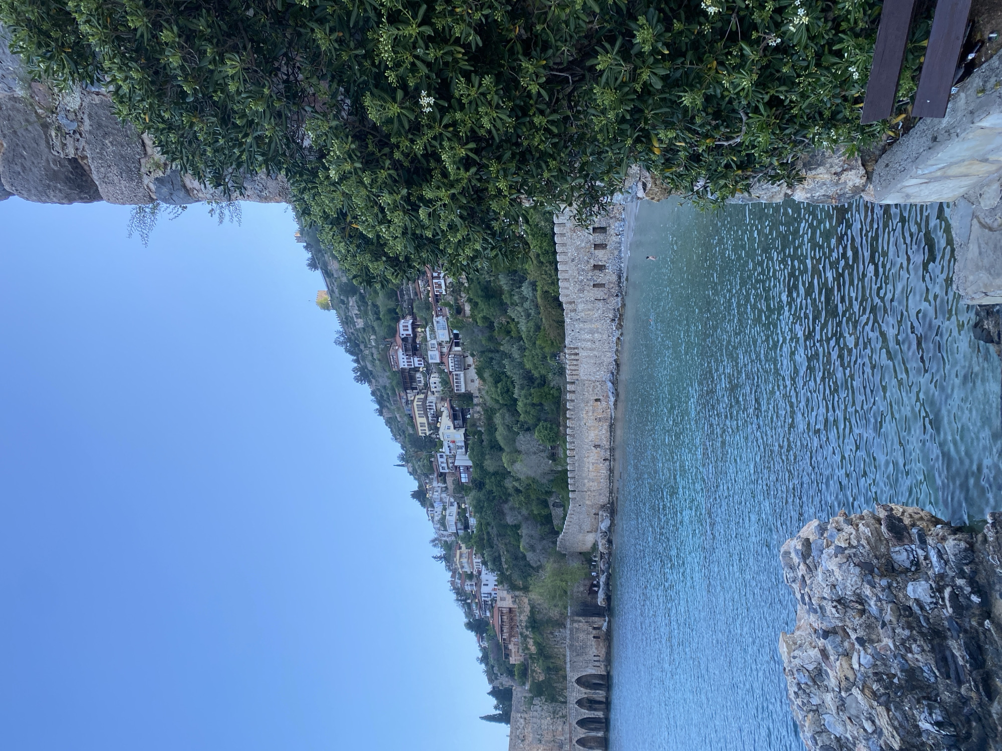 This image captures a vibrant coastal scene in Alanya, Turkey, from an elevated vantage point. The picture is oriented vertically (or rotated 90 degrees clockwise), presenting a view of a clear blue-green sea, a historic stone wall, and a town built into a lush hillside under a cloudless blue sky.
In the foreground, dense green foliage with small white flowers spills into the frame from the top, suggesting the photo was taken from beneath an overhang or a vegetated area. To the far right, a sturdy, textured rock formation juts out into the water, and above it, a small section of a wooden bench is visible.
The midground is dominated by the calm, shimmering water of what appears to be the Mediterranean Sea. The surface of the water shows subtle ripples and reflections. A long, well-preserved stone fortification, likely part of Alanya Castle, runs along the coastline, separating the land from the sea. This wall features battlements and archways, hinting at its historical significance. In the water near the wall, a single person is visible, swimming or floating. Further along the base of the hillside, arched stone structures extend into the water, possibly remnants of an ancient harbor or a coastal bridge.
The background reveals a steep, verdant hillside densely covered with trees and shrubs. Numerous light-colored houses and buildings with red or brown roofs are nestled charmingly among the greenery, ascending the slope and forming part of the coastal town. The sky above is a brilliant, clear blue, indicating sunny weather.
The time of day appears to be bright daytime, with consistent illumination across the scene and no long shadows. The overall impression is one of historical charm, natural beauty, and tranquility. No visible text is present in the image.