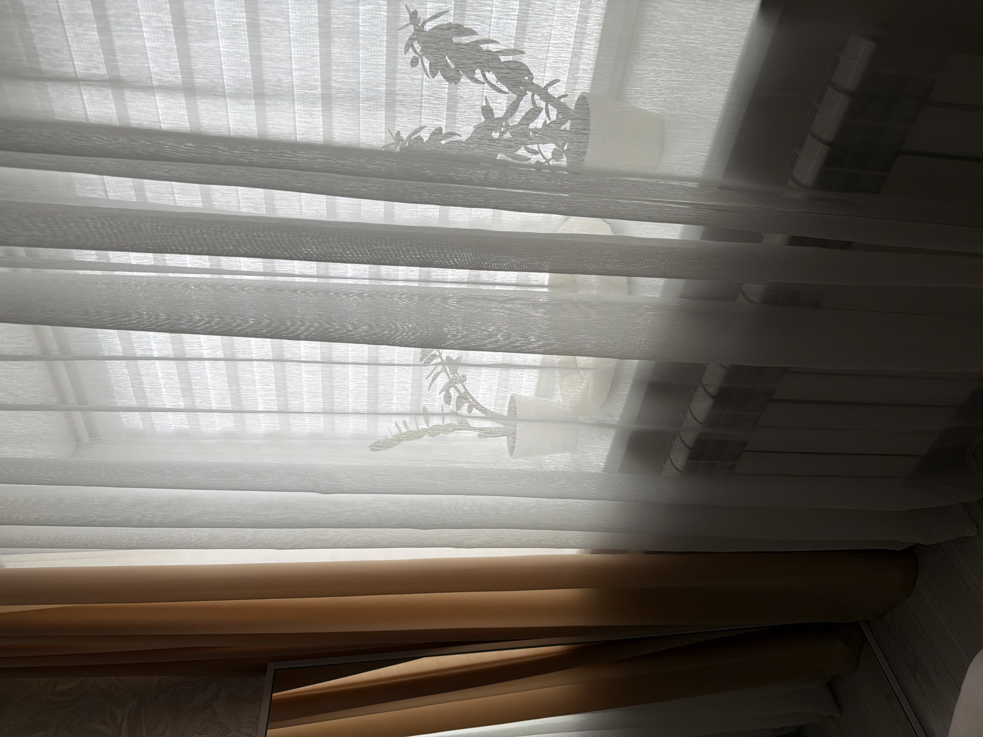 This is a medium-shot, slightly tilted photograph of a window covered by translucent horizontal blinds and sheer curtains. The blinds are made of alternating sheer and opaque horizontal stripes, creating a textured effect. The sheer curtains hang in front of the blinds, softening the light that filters through.
In the upper part of the window, visible through the blinds and curtains, are the silhouettes of two potted plants. One plant is larger and has distinct leaf shapes, while the other is smaller and more delicate. The pots appear to be white. To the right of the window, a dark, indistinct object with horizontal lines, possibly shelves or books, is visible in shadow.
The lower portion of the image shows two layers of thicker, opaque curtains. The top layer is a light brown or tan color, and the bottom layer is a darker brown, both rolled or folded. The floorboards are visible in the lower right corner, suggesting an indoor setting.
The lighting suggests it is daytime, with diffused sunlight coming through the window. The overall mood is quiet and domestic. The location context is Semiluki, Russia. There is no visible text in the image.