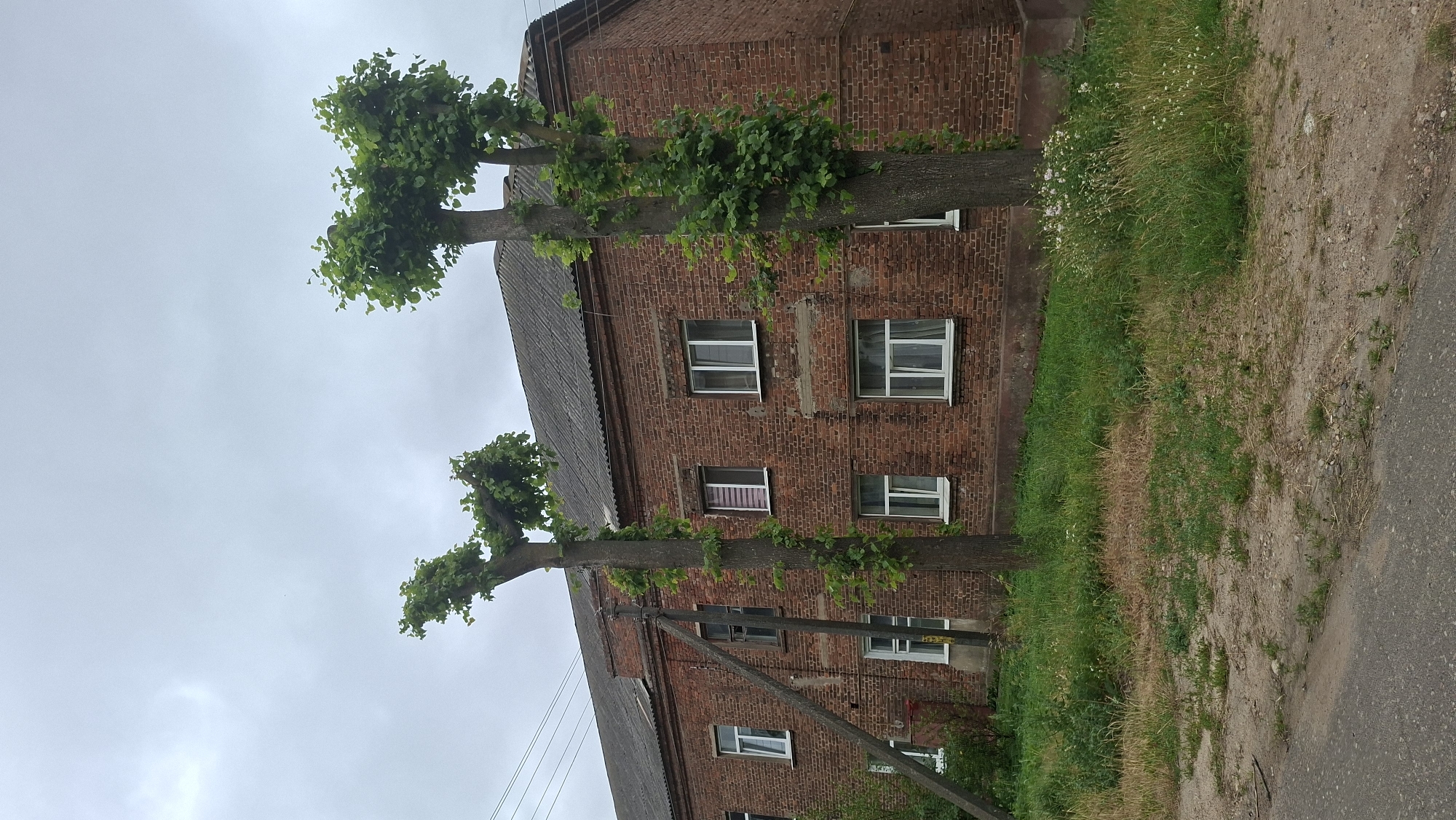 The image depicts a two-story brick building with a grey, sloped roof, located in the city of Smalyavichy, Belarus. Two trees with their upper branches pruned into a rounded shape stand in front of the building. The building has multiple windows with white frames, and some have visible blinds or curtains. A power pole with angled support beams is situated to the left of the building, with electrical wires visible against the overcast sky. The foreground shows a patch of grass, some dry vegetation, and a gravelly area bordering a paved surface. The overall scene suggests a residential or administrative building in a somewhat rural or suburban setting.