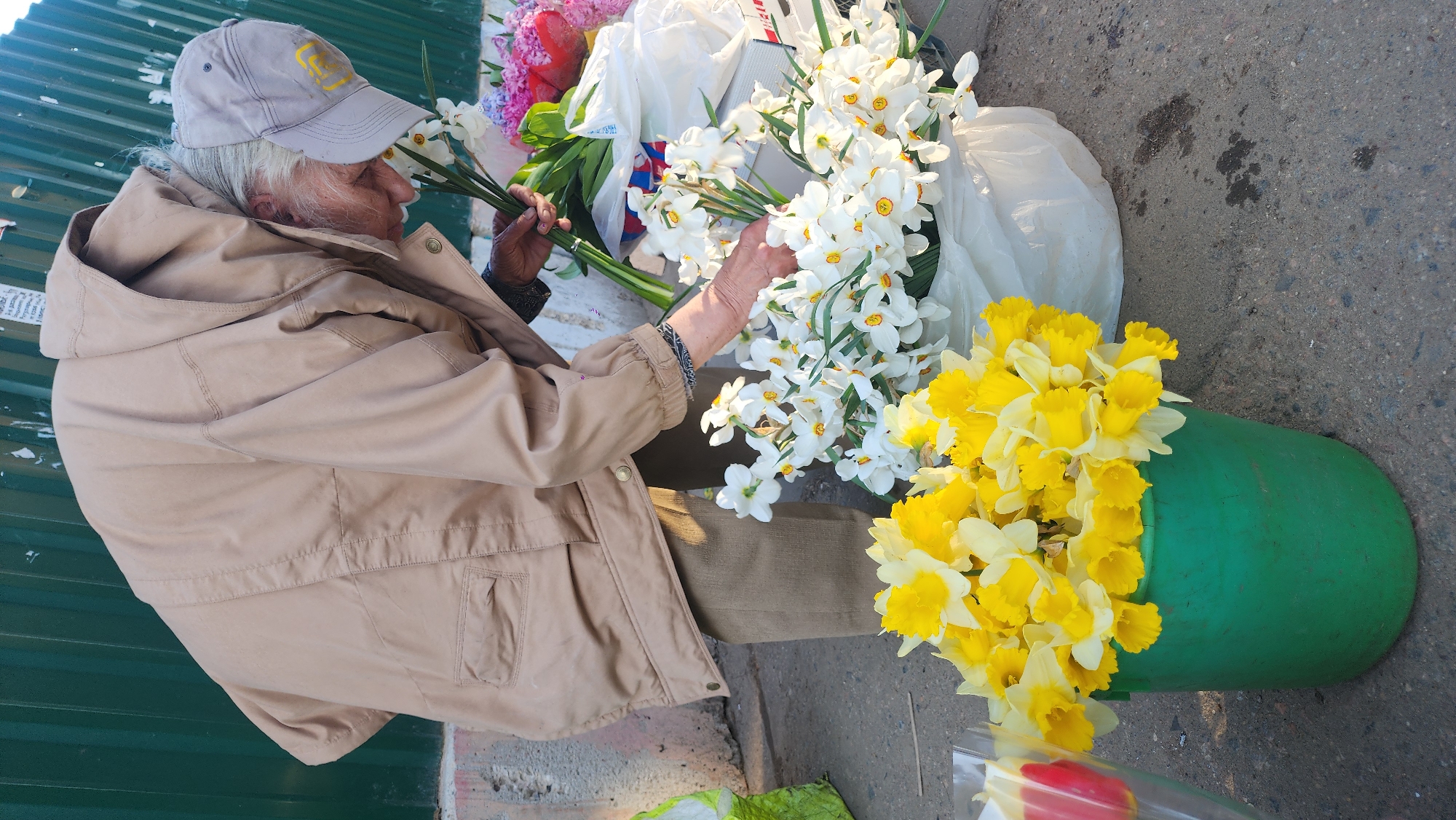 A woman in a beige hooded jacket and gray cap is arranging bouquets of daffodils. She is holding a bunch of white daffodils in her left hand. There is a green bucket filled with yellow daffodils in the lower right of the image. Other flowers and plastic bags are near the woman. The scene appears to be outdoors, on a paved surface near a corrugated metal fence. Based on the metadata, the location is Khimki, Russia.