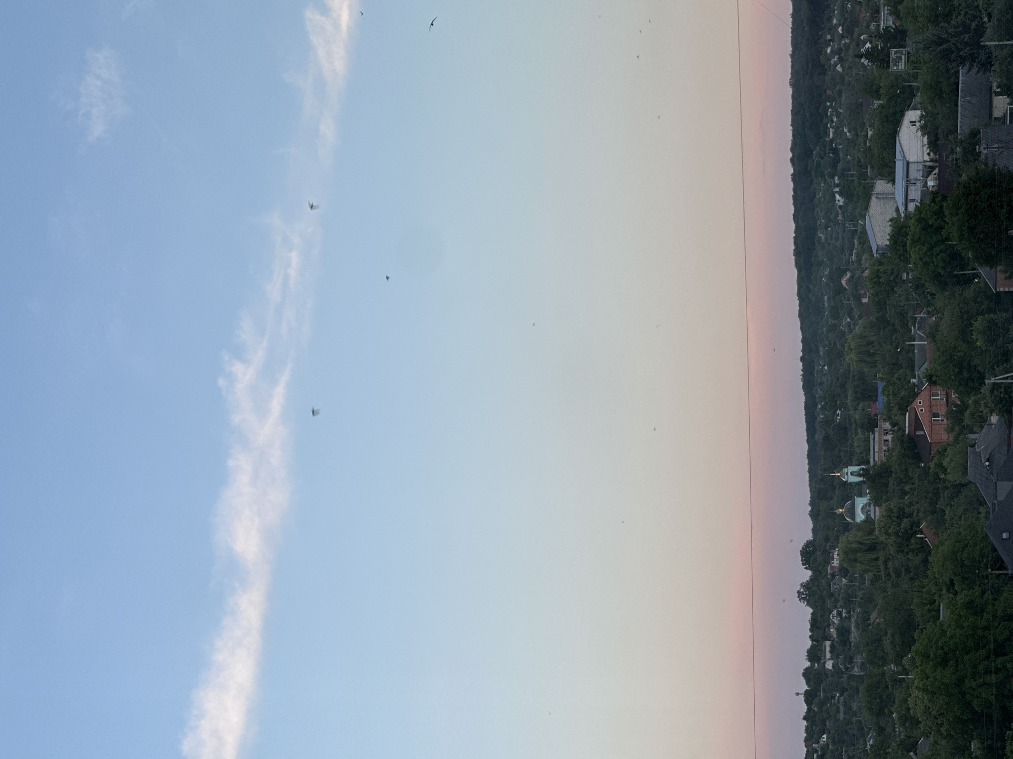 The image shows a panoramic view of a village at dusk. The sky is a gradient of blue and pink, with a few wispy clouds. Several birds are visible in flight against the sky. Below the sky, a dense green forest covers the rolling hills, dotted with houses and buildings. A prominent blue-domed church with a golden steeple stands out amongst the trees. Power lines are visible in the foreground, stretching horizontally across the frame. The overall impression is one of a peaceful rural landscape at the end of the day.