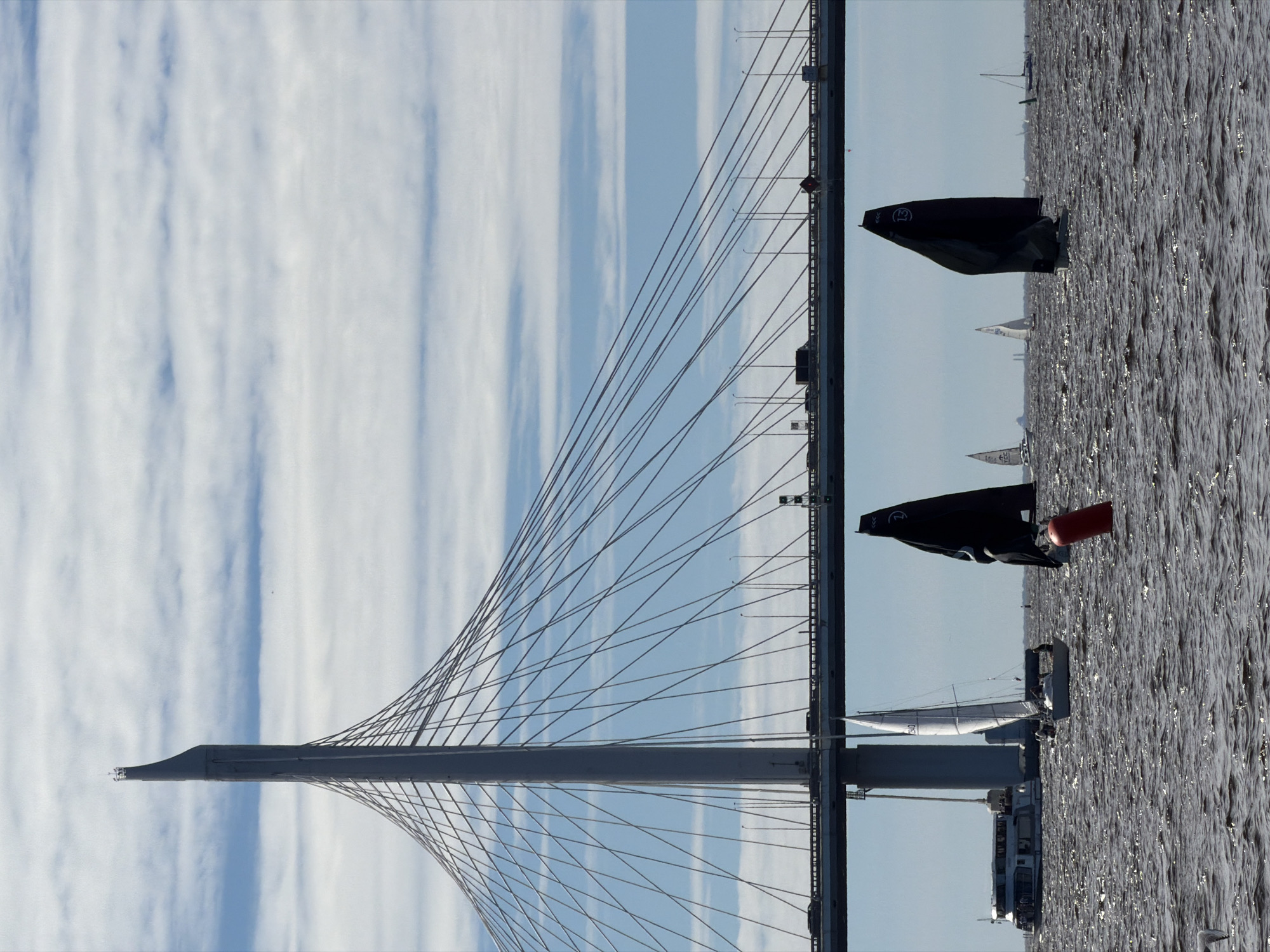 This is a photograph of the Western High-Speed Diameter (WHSD) cable-stayed bridge in Saint Petersburg, Russia, on a cloudy day. The bridge's main pylon and cables dominate the upper half of the frame. Below the bridge, several sailboats are navigating choppy, dark water. One sailboat with a white sail is in the foreground, while two dark-sailed boats are also visible. In the background, a passenger ferry or boat is docked or moving slowly near the shore. Vehicles are seen on the elevated roadway of the bridge, and streetlights line the bridge's structure. The water is rippled, suggesting a moderate wind. The sky is filled with light, horizontal cloud formations.