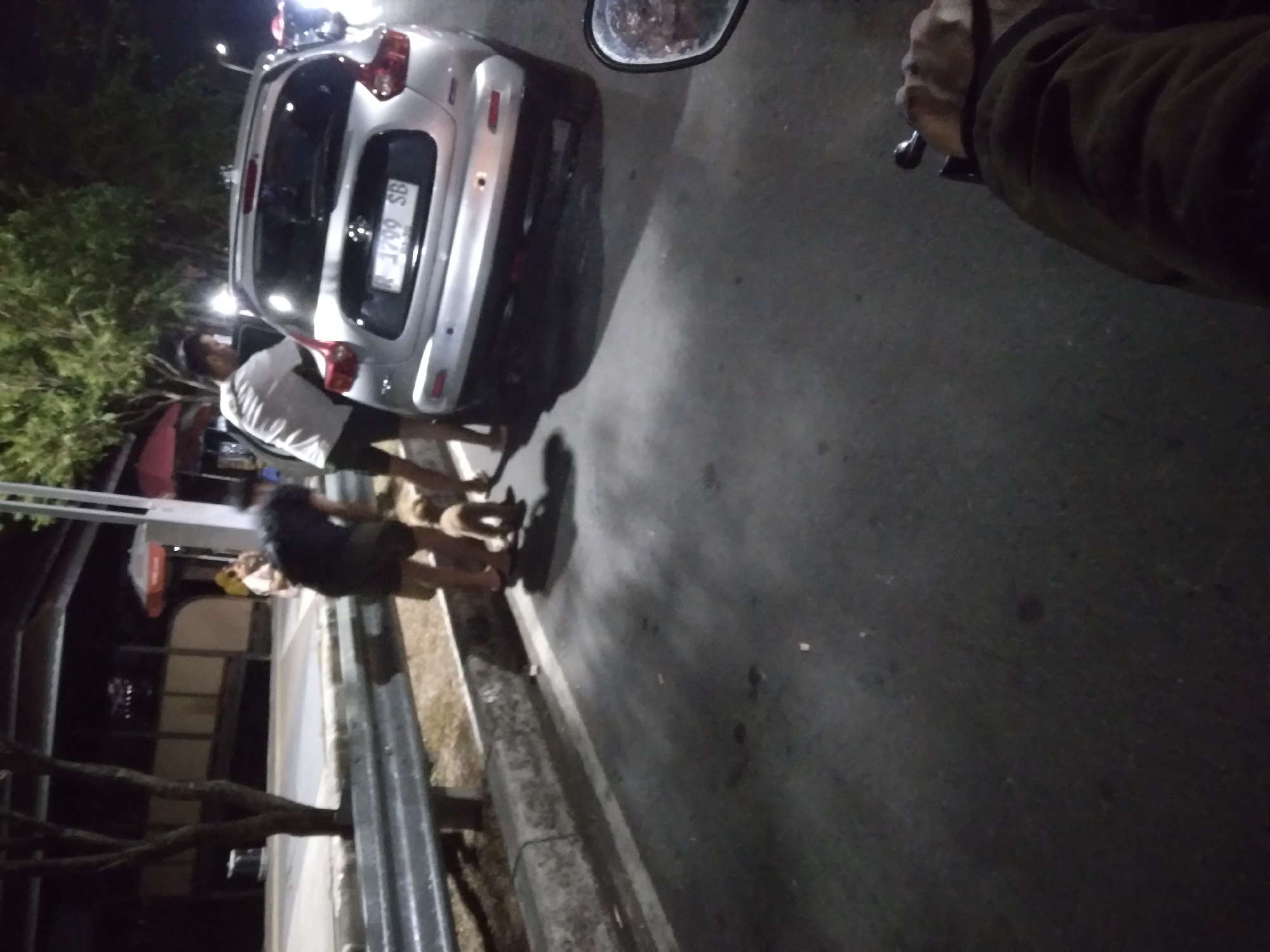 In Purwokerto, Indonesia, at night, two men and a small dog are near a silver car parked on the side of a road. The men are dressed casually. One man, wearing a dark shirt and shorts, is bending down towards the dog. The other man, in a white shirt and dark shorts, is by the open driver's side door of the car. The dog appears to be a light brown color and is standing between the two men. The environment suggests an urban setting with streetlights visible in the background. The road surface is asphalt, and there is a metal guardrail and a concrete barrier along the side of the road.