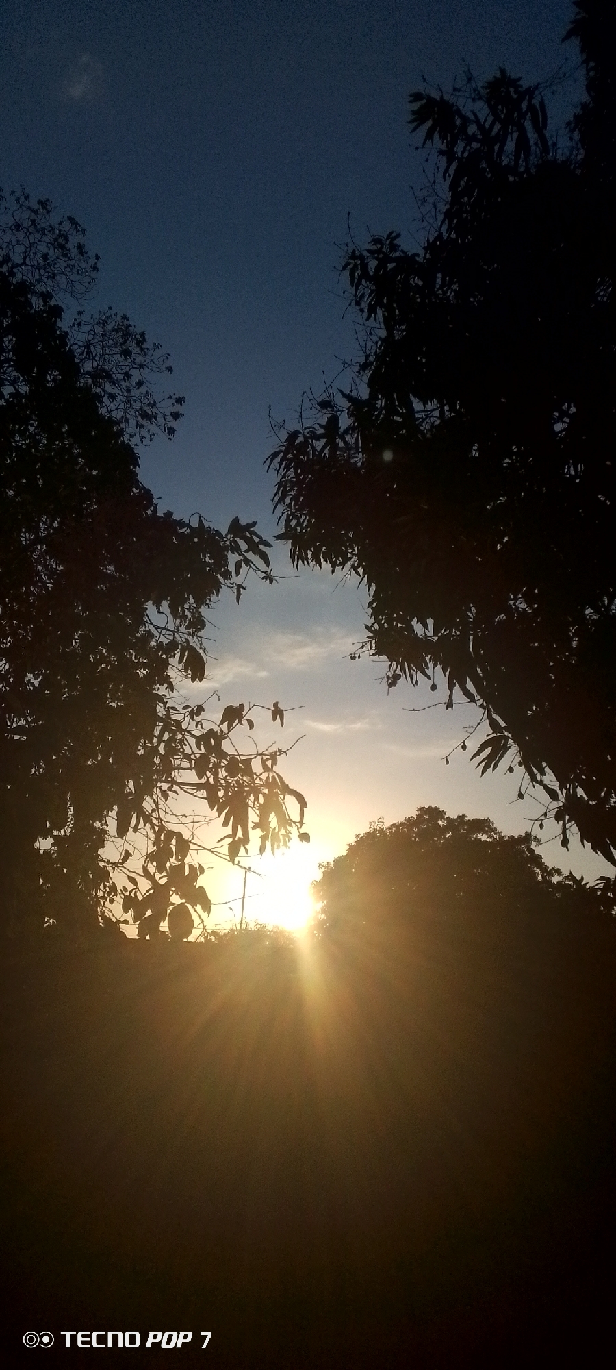 The image shows a sunburst shining through trees. The sun is low on the horizon, creating long rays of light. The trees are silhouetted against the sky. The sky is a gradient of blue to orange. The text "TECNO POP 7" is visible in the bottom left corner. The location is Altagracia, Venezuela.