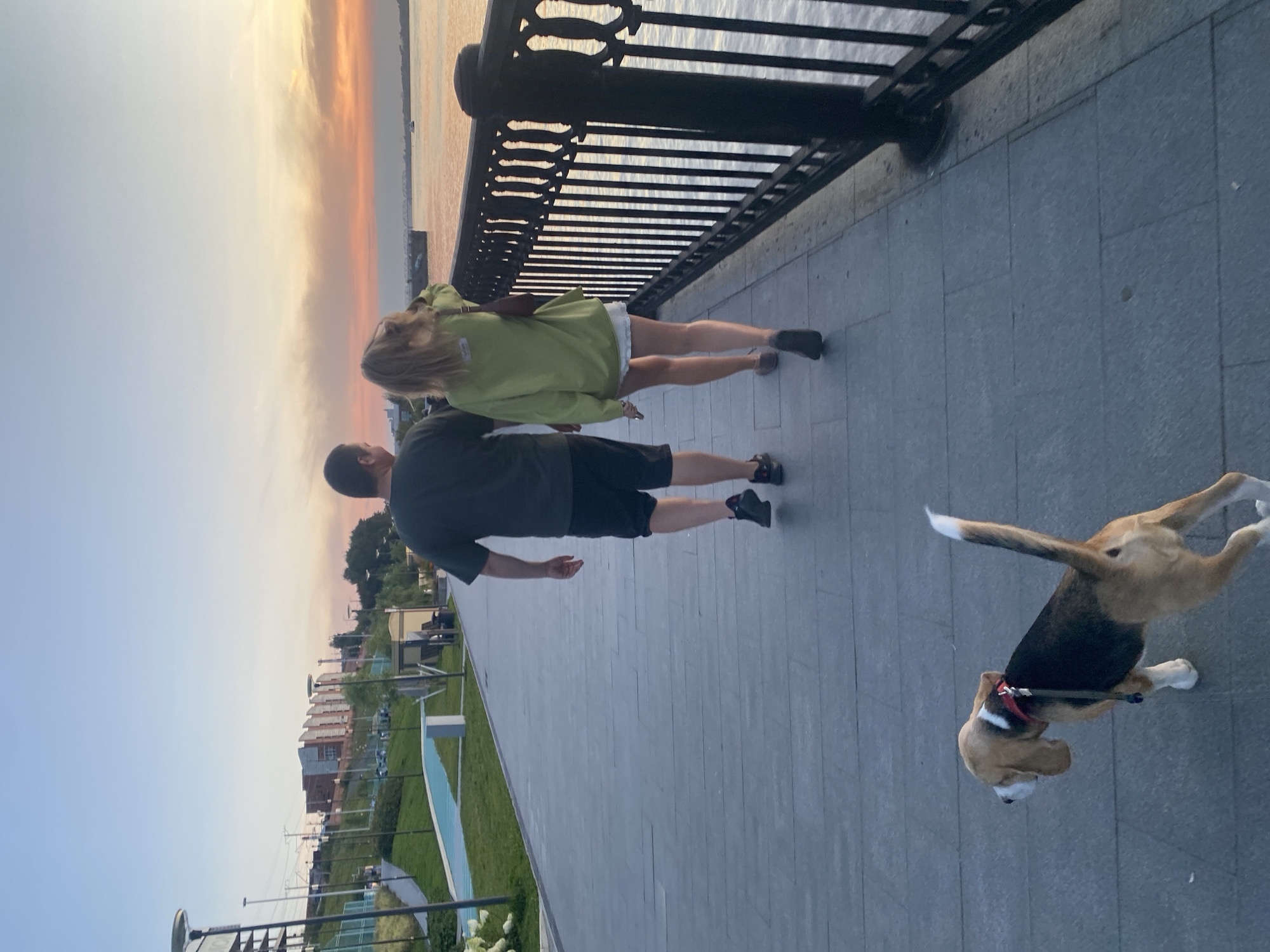 A man and a woman are walking away from the camera on a paved promenade next to a body of water. The man is wearing a dark t-shirt and shorts, and the woman is wearing a light green hooded sweatshirt and a white skirt. A beagle dog on a leash is walking in front of them and to the left, facing away from the camera. In the background, there is a dark metal railing along the water, and beyond that, a body of water reflecting the orange and pink hues of the sunset sky. Across the water, the Perm embankment is visible with buildings and a park area. The sky is a pale blue transitioning to orange and pink near the horizon. The scene appears to be taking place during sunset in the city of Perm, Russia, likely along the Kama River.