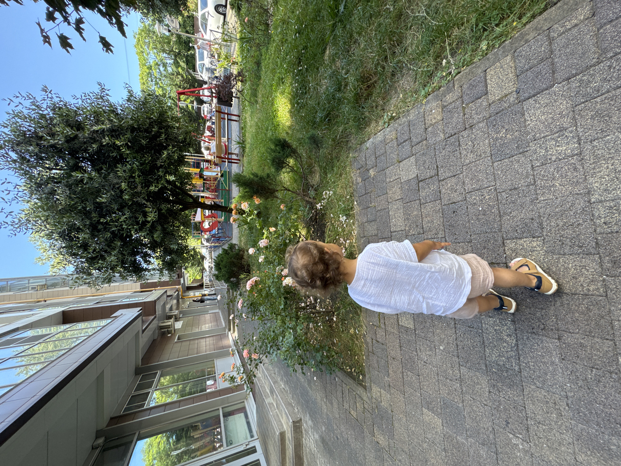 A young child with curly brown hair, wearing a white short-sleeved shirt and light pink shorts, walks on a paved sidewalk. The child is viewed from behind, facing away from the camera. The sidewalk is made of grey rectangular stones. To the child's right is a patch of green grass with small white flowers and some bushes. Further to the right, there is a playground with colorful structures and a bench. In the background, there is a modern building with reflective windows and a large tree with green foliage. The sky is clear and blue. The location is a residential area in Sochi, Russia, likely near a building complex, with a focus on the child's exploration of the outdoor environment.