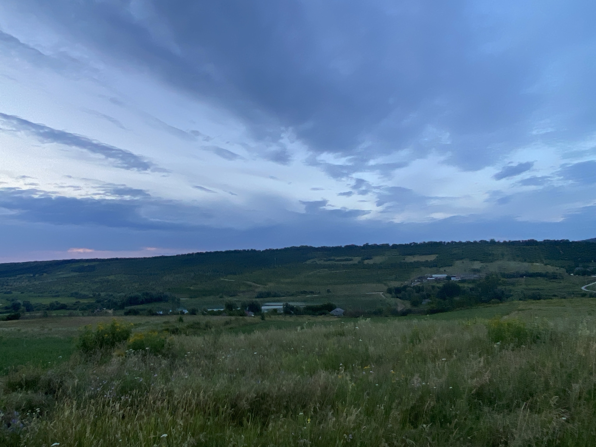 This image depicts a rural landscape under a twilight sky, likely in or near Horodca, Moldova. The foreground is dominated by a field of tall, green grass and wildflowers, with some dry stalks interspersed. In the mid-ground, rolling hills are covered with dense green vegetation, appearing as a mix of trees and fields. Several small structures, possibly farm buildings or houses, are visible nestled within the hills. A body of water, perhaps a pond or a small lake, is also present in the middle distance. The background is a broad, dark green hillside that stretches across the horizon. The sky above is a gradient of deep blues and grays, with wispy clouds that suggest the lingering light of sunset or the approaching night. There are no people or animals visible in the image. The overall impression is one of serene, undeveloped countryside.