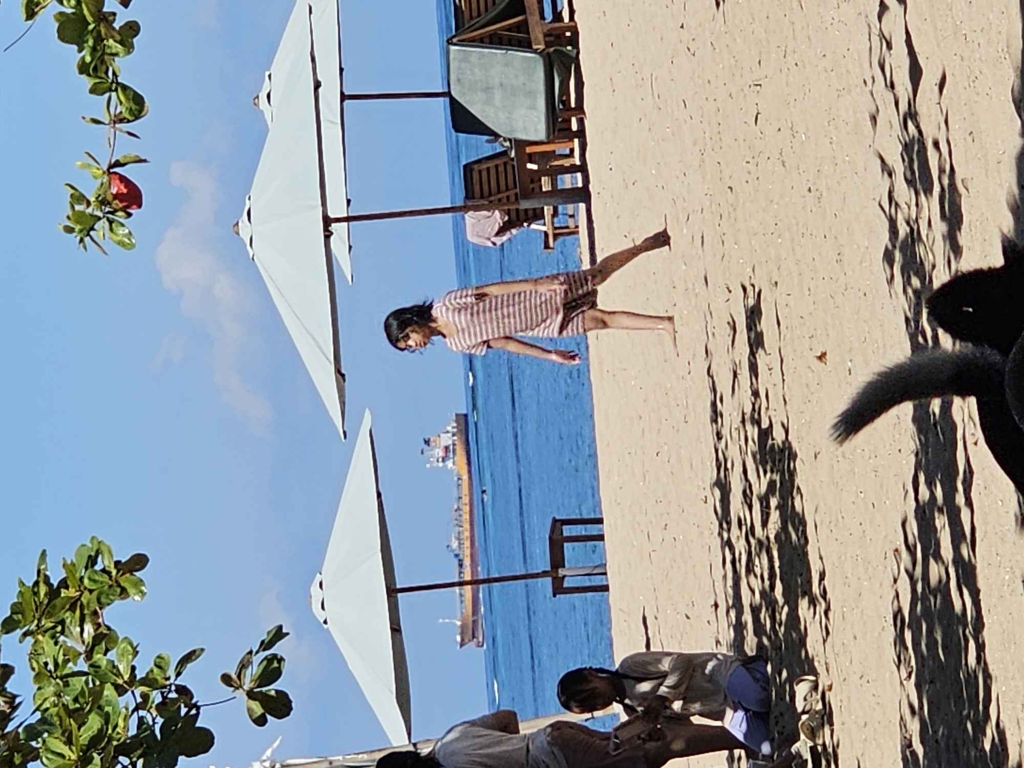 The image shows a beach scene in Denpasar, Indonesia. Two white beach umbrellas stand near the shore. An individual in a striped dress walks along the beach. In the distance, a large ship is visible on the water. Near the foreground, two people sit on the sand. The branch of a tree with green leaves and red fruit is in the corner of the frame. A dog is partially visible on the right side of the image.