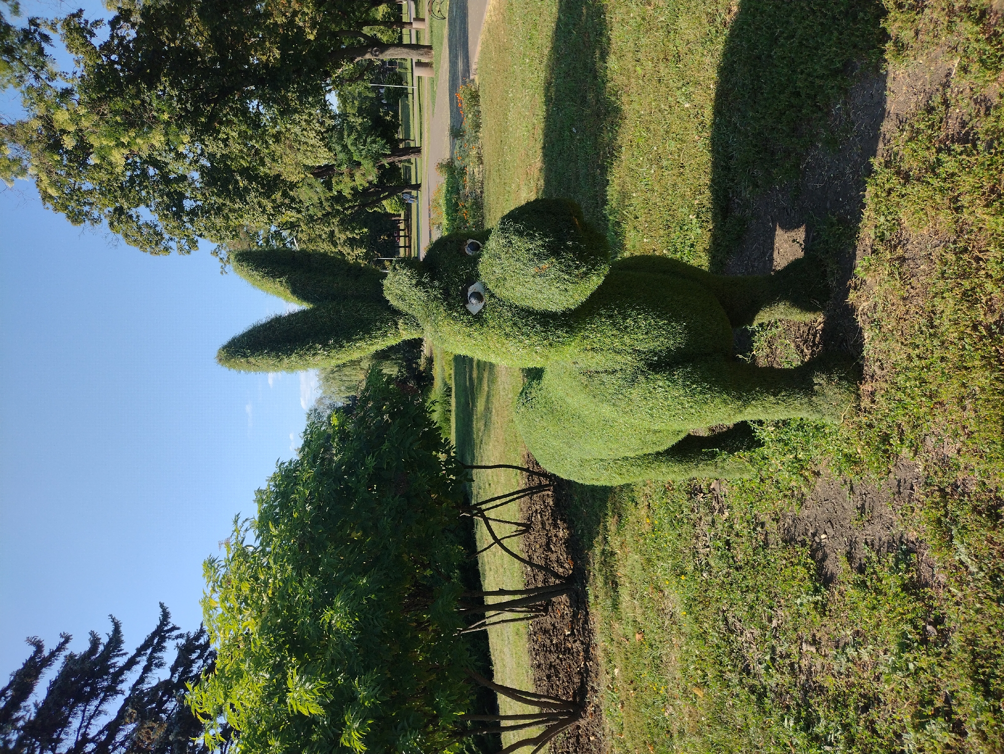 An outdoor, medium shot photograph captures a topiary shaped like a donkey in a park on a sunny day. The donkey topiary, made of green foliage, stands on a patch of dark soil surrounded by green grass. It has large, cartoonish eyes made of plastic or a similar material. Behind the topiary, a small bed of orange flowers is visible, bordered by a paved pathway that curves through the park. Several trees with dense green leaves are scattered throughout the background, casting shadows on the grass. The sky above is a clear, bright blue. The scene is set in the city of Unknown, Unknown.