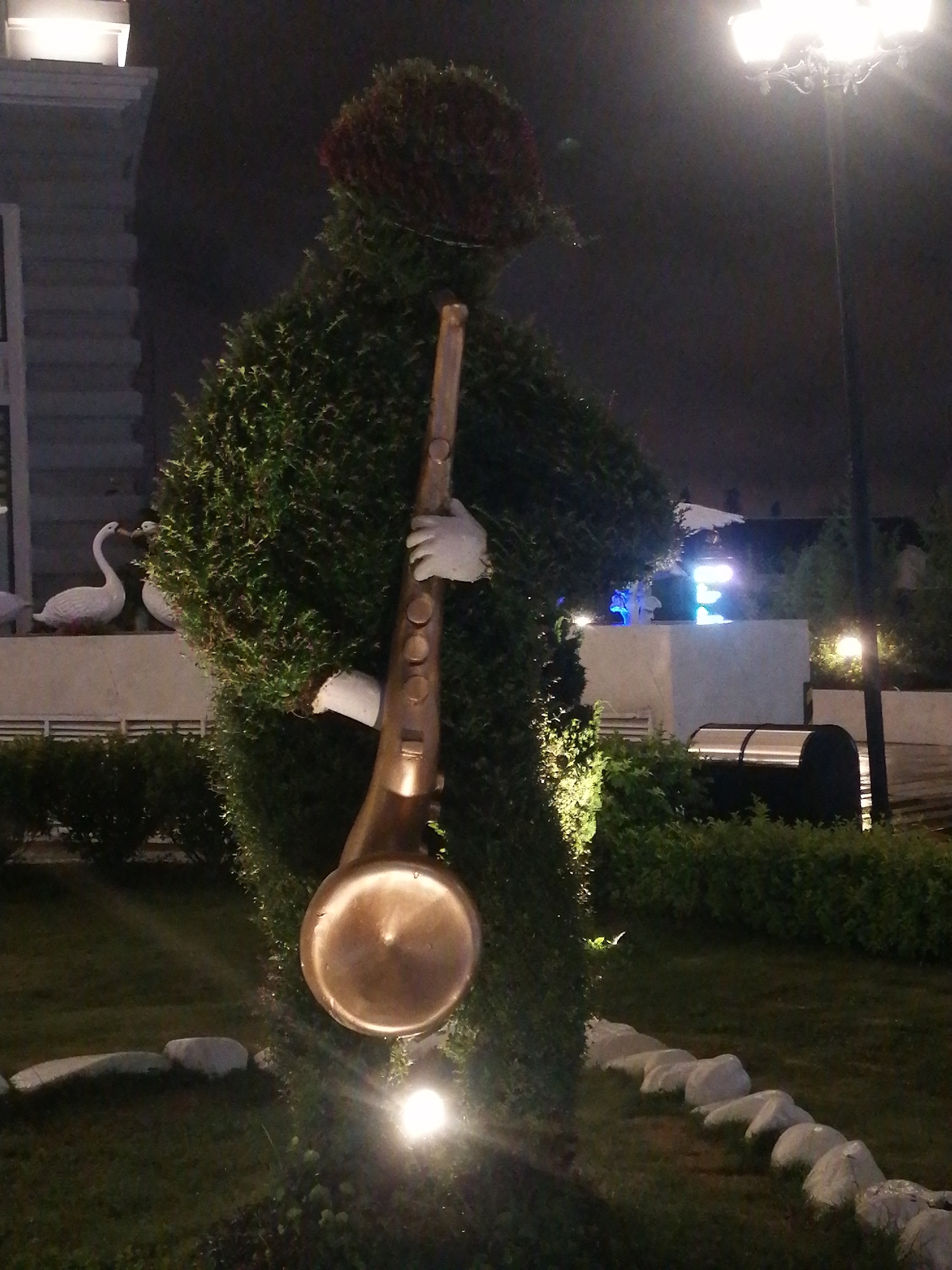 The primary subject of the image is a large topiary sculpture resembling a human figure playing a saxophone, set in a dimly lit outdoor garden at night in Da Lat, Vietnam.
The sculpture is meticulously crafted from dense green foliage, forming the body and arms. A contrasting reddish-brown, possibly floral or dyed, topiary material forms the head, suggesting a hat or elaborate hairstyle. White, gloved hands, likely made of a solid material, emerge from the greenery to grasp a prominent golden or bronze saxophone, which is held vertically.
The scene is a landscaped garden at night, illuminated by various artificial light sources. A bright spotlight on the ground highlights the lower part of the saxophone and the surrounding grass, creating a warm glow. In the mid-ground to the left, a light-colored building is partially visible with a bright light fixture on its upper structure. On a ledge in front of this building, two white swan statues are perched, with one appearing to interact with the other.
To the right, a tall street lamp with multiple glowing fixtures casts light into the dark sky, while another pole with a single light source is visible further back. Other light sources, including subtle blue neon-like lighting on a distant structure, contribute to the nighttime ambiance. The ground is covered with green grass, bordered by a line of light-colored rocks in the foreground. Bushes and other greenery are visible throughout the perimeter of the garden, some selectively lit by spotlights.
The time of day is clearly night, evidenced by the dark sky and reliance on artificial illumination. The weather appears clear. No visible text is present in the image. The overall impression is one of an artistic and serene garden display.