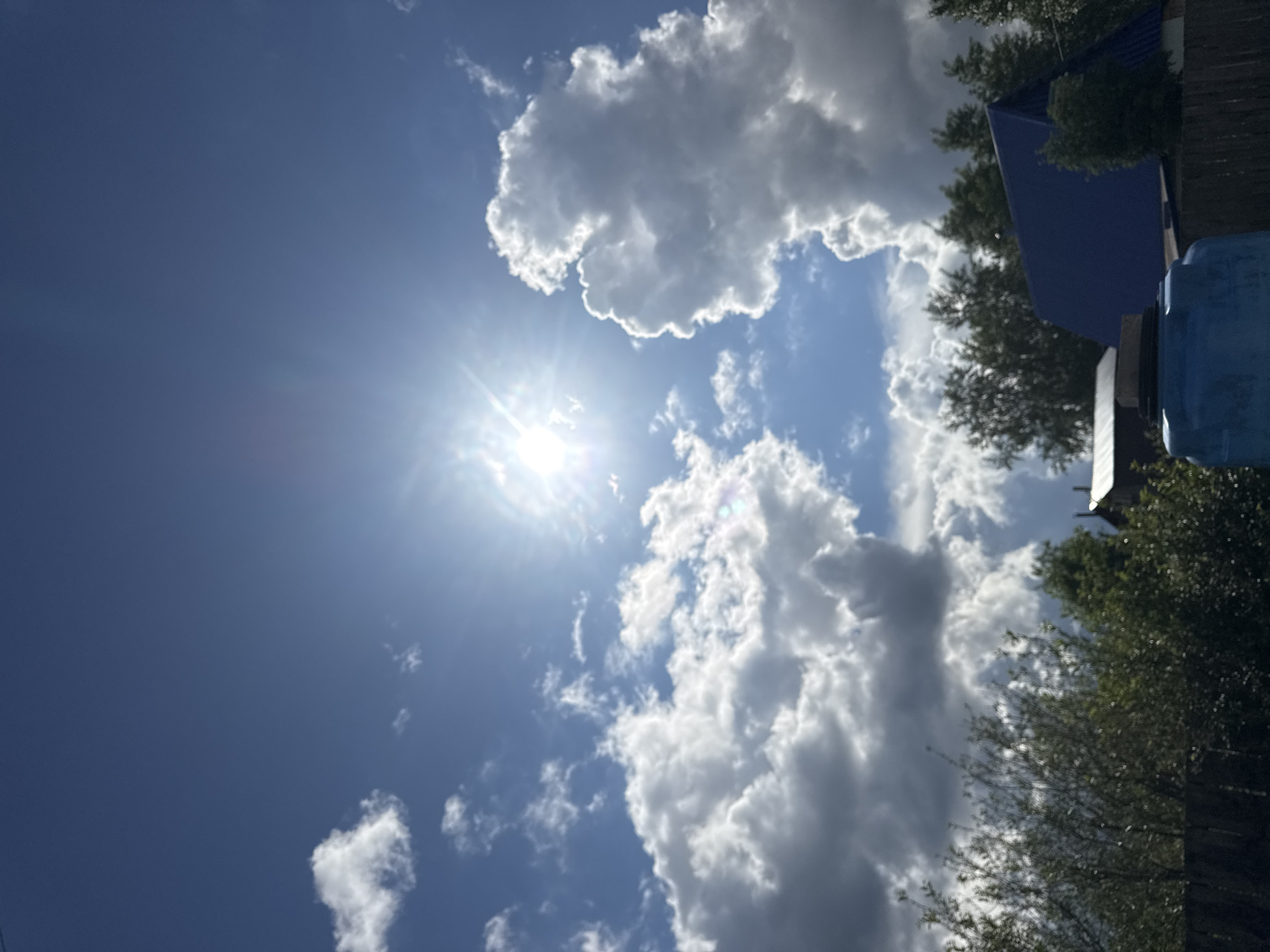 The image depicts a vibrant outdoor scene on a bright, sunny day, set in Chaikovsky, Russia. The sky dominates the frame, showcasing a mix of clear, intense blue areas and dramatic, fluffy white and gray clouds.
The sun is a prominent feature, positioned in the upper left quadrant of the image (when correctly oriented). It shines brightly, creating a strong sunburst effect with visible rays and lens flare, illuminating the surrounding clouds. Numerous cumulus clouds are scattered across the sky, varying in size and density; some appear brilliant white, reflecting the sun, while others are a darker gray, suggesting thickness or shadow.
In the right and lower portions of the image, elements of the terrestrial environment are visible. Lush green trees with dense foliage partially frame the scene, suggesting a natural or semi-urban setting. To the right, part of a building with a distinctly ribbed, dark blue roof is visible, indicating man-made structures in the vicinity. Adjacent to the building and trees, a cylindrical blue object, possibly a large barrel or tank, is partially seen in the lower right corner.
The overall impression is one of clear weather with active cloud formations, likely during the mid-day or early afternoon due to the high and bright sun. There are no people or specific activities taking place, and no visible text in the image.