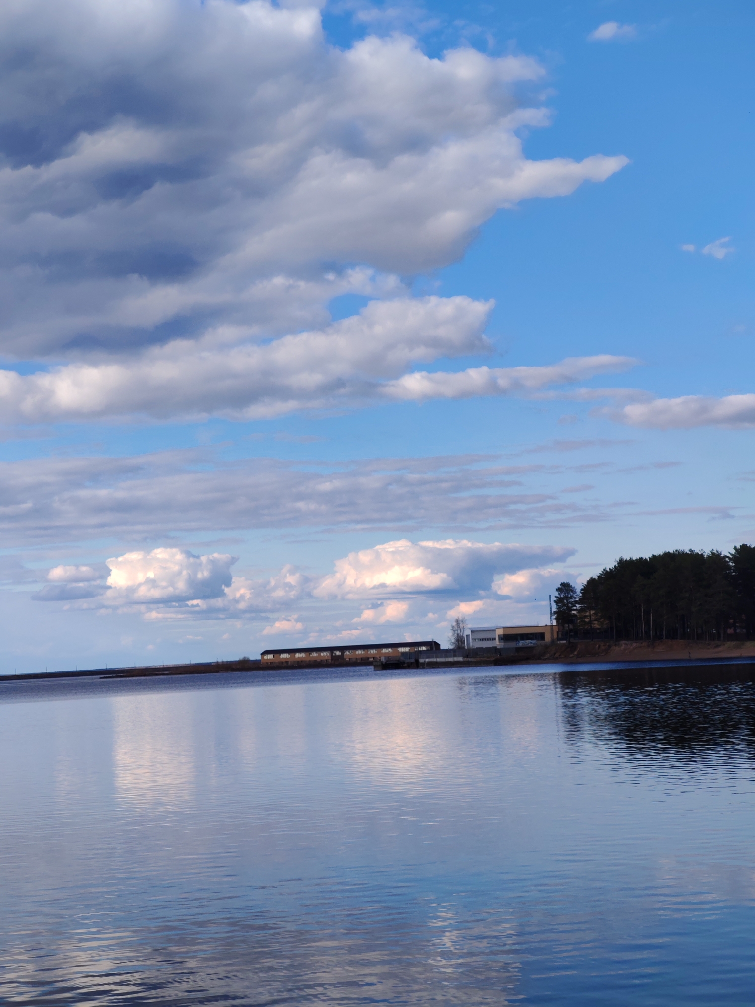 The image displays a serene landscape featuring a wide body of water under a partly cloudy sky in Chaikovsky, Russia. The foreground is dominated by the calm, reflective surface of the water, which mirrors the blue sky and white clouds, creating subtle patterns of light and shadow from gentle ripples.
The sky above is expansive, filled with a mix of bright white and darker grey cumulus clouds against a clear blue background. These clouds vary in size and texture, adding depth and dynamism to the upper half of the frame.
Along the distant shoreline, a strip of land is visible. To the right, a dense line of dark coniferous trees, characteristic of a forest, stands tall. To the left of the wooded area, several buildings are apparent. One large, elongated structure with a dark roof and lighter walls suggests an industrial or storage facility. Another smaller, lighter-colored building is situated closer to the trees. Faint lines and structures, possibly power lines or fencing, can be seen along the distant bank.
The lighting indicates daytime, likely late afternoon, with a soft, diffused glow on the clouds. The scene is devoid of visible human activity or text, emphasizing the peaceful and natural environment alongside subtle signs of distant human settlement.
