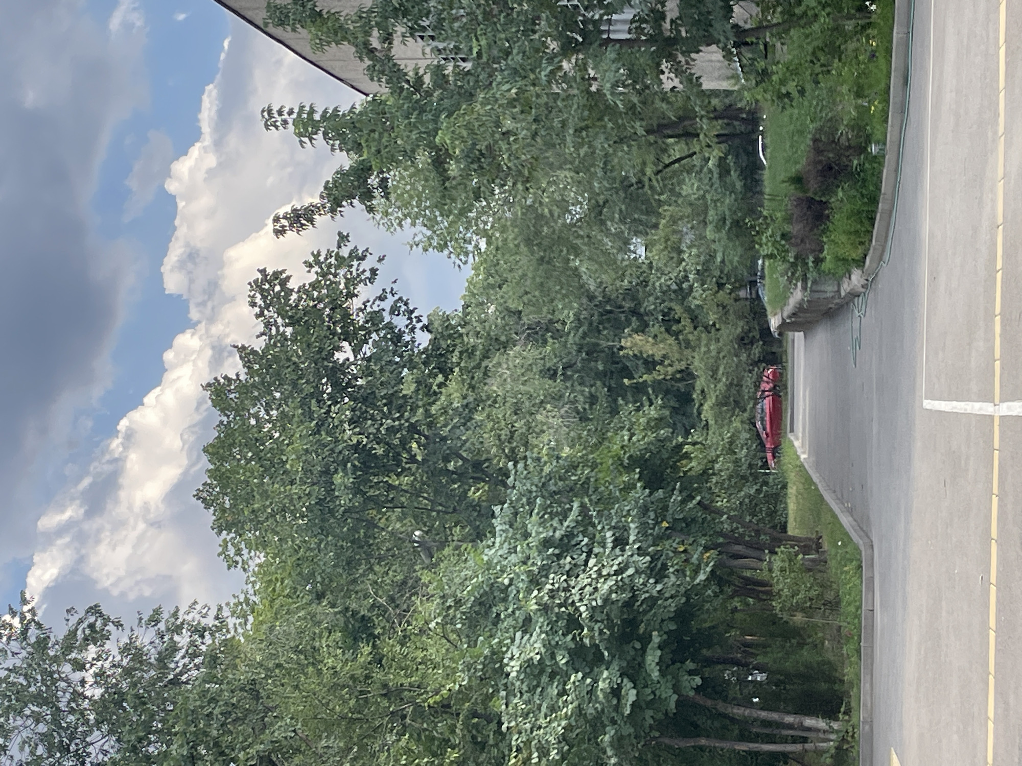 The image depicts a paved pathway leading into a green area with trees on either side and a building on the right. The sky is partially cloudy. A red car is visible in the background, partially obscured by trees. The scene appears to be an urban or suburban environment, possibly a park or residential area, in Almaty, Kazakhstan. There are no people or animals visible in the image, and no actions or interactions are taking place. The overall atmosphere is one of tranquility and natural beauty.
