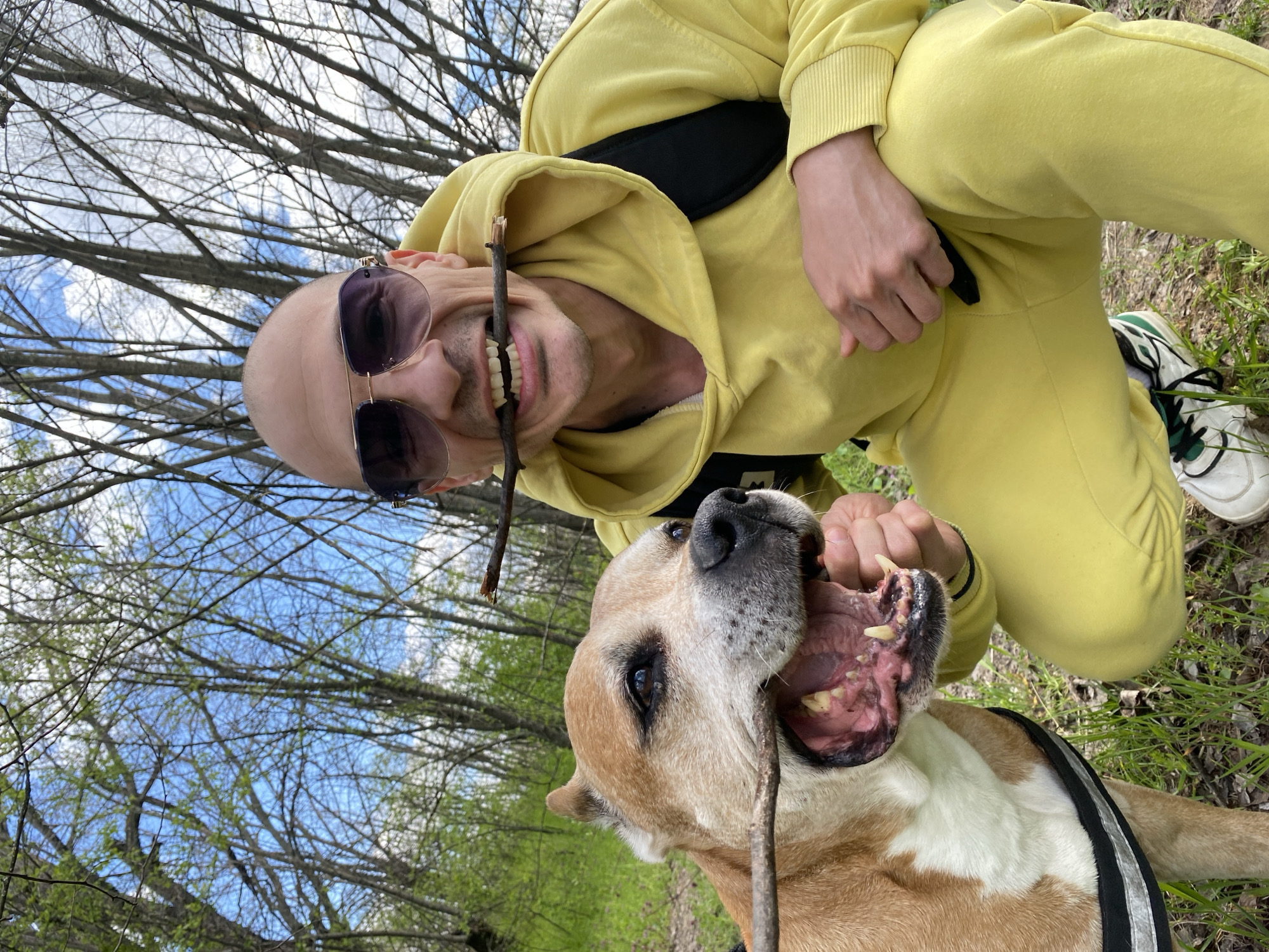 A man and a dog are outdoors, likely in a park or wooded area. The man is wearing a yellow tracksuit and sunglasses, and he has a stick in his mouth. The dog, a tan and white breed wearing a harness, also has a stick in its mouth. The photo is taken from a low angle, looking up at the man and the dog. Bare trees and a blue sky are visible in the background. The location is Pleven, Bulgaria.