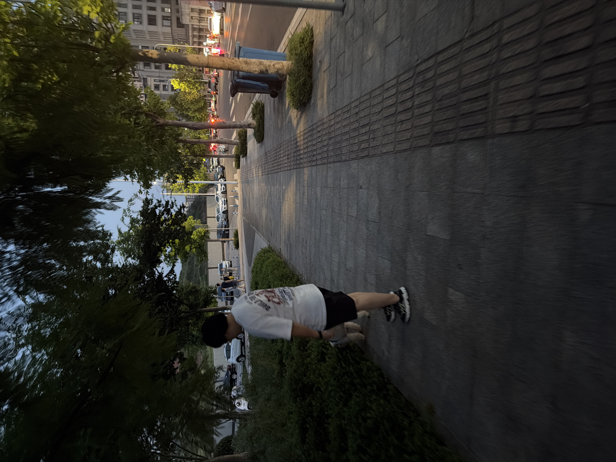 A person, viewed from the side and from the waist down, is walking a small, light-colored dog on a leash on a paved sidewalk. The person is wearing a white t-shirt with a graphic design on the back and black shorts, with black and white athletic shoes. The dog is in front of the person, sniffing at a bush. The sidewalk is made of large, rectangular gray pavers with a textured strip of smaller, raised rectangular pavers running along its length. Adjacent to the sidewalk is a narrow, well-maintained green bush line. Beyond the bushes, a street with several cars is visible. The street is lined with trees casting shadows on the sidewalk. In the background, buildings and streetlights are present. The sky appears to be dusk, with a dim, natural light. The scene is located on a street in Jiangjin, China.