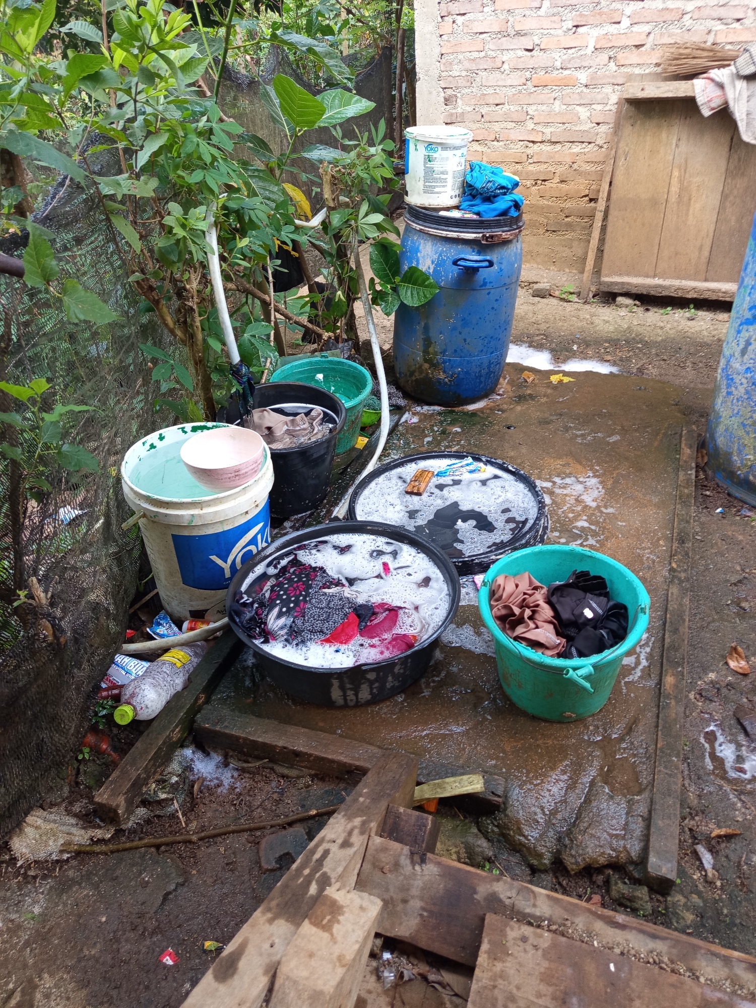 The image depicts an outdoor area, likely a backyard, in an unpaved environment in an unknown location in Indonesia. The scene is characterized by the presence of laundry items and containers. A large blue plastic barrel stands prominently, topped with a white paint can. To its left, a tall, white bucket with blue lettering, possibly a paint bucket, contains clear water and a pink bowl. Next to this, a black bucket holds damp, brown fabric. A green plastic bucket is filled with folded brown and black clothing. In the foreground, two round, black tubs are filled with soapy water and colorful clothing, suggesting the process of washing or rinsing laundry. The ground is wet and appears to be dirt and concrete, with some wooden planks arranged haphazardly. Lush green foliage surrounds the area, and a brick wall is visible in the background, indicating a built structure. The overall impression is one of a functional, albeit somewhat unkempt, outdoor laundry setup.