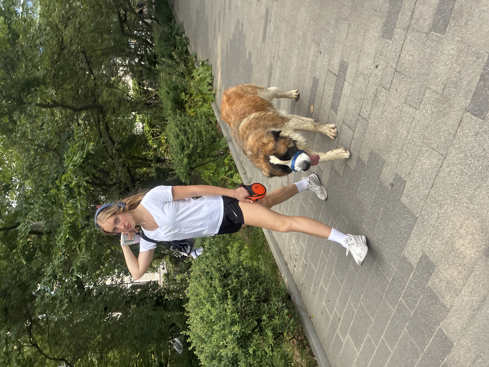 A young woman with blonde hair, wearing headphones, a white t-shirt, and black athletic shorts, walks a St. Bernard dog on a leash on a paved path. The dog is wearing a blue muzzle. The path is lined with green bushes and trees, suggesting an outdoor park or promenade. The woman is holding a leash attached to the dog and has a bag on her shoulder. The scene appears to be set in a city park, possibly in Sochi, Russia, given the presence of lush greenery and architecture visible in the background.