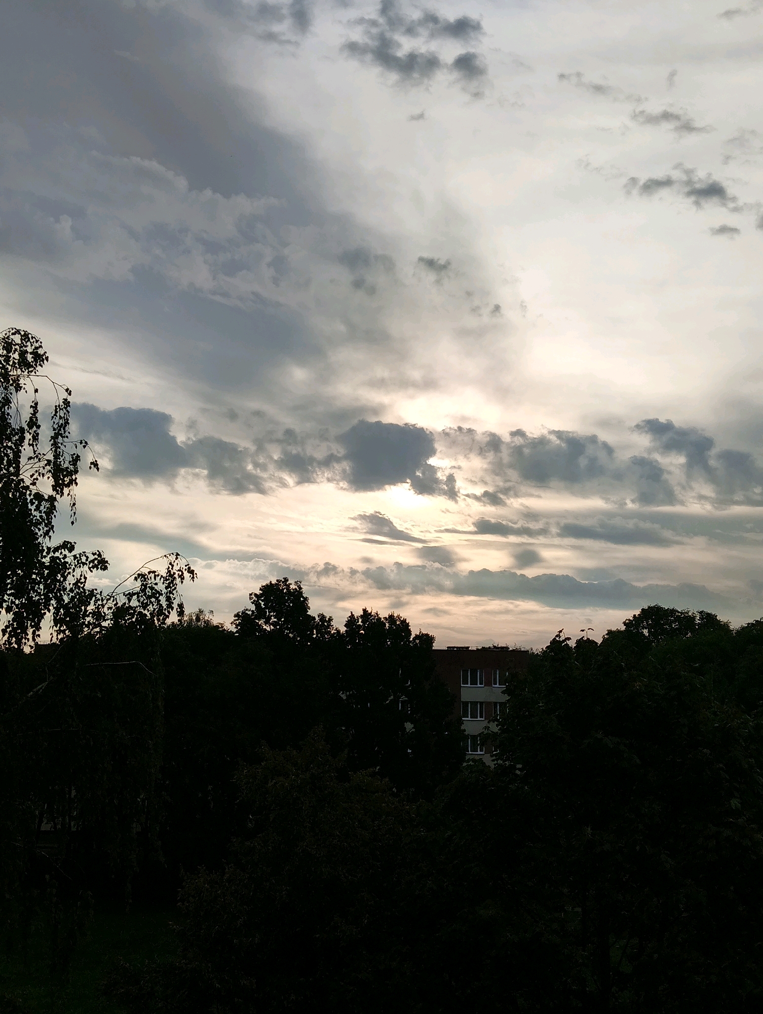 A wide shot captures a dense, dark green canopy of trees silhouetted against a dramatic, overcast sky in Hrodna, Belarus. The clouds are a mixture of light grays and whites, with a bright area in the center indicating the sun trying to break through. Towards the lower middle of the frame, a multi-story building with light-colored walls and white-framed windows is visible, partially obscured by the trees. The foreground is dominated by the dark, lush foliage of trees, with a few lighter-colored branches from a birch tree visible on the left side of the image. The overall impression is of an urban landscape at dusk or during an overcast day, with nature encroaching on the built environment.