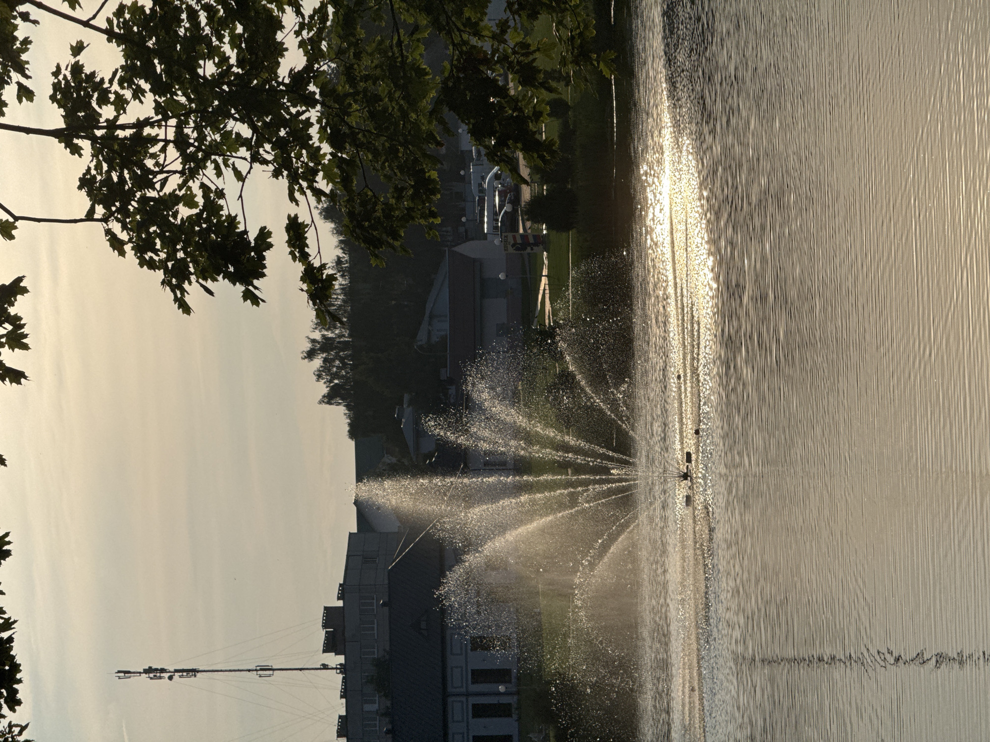 The image depicts a tranquil outdoor scene at sunset or sunrise, featuring a fountain spraying water in a lake. In the background, a town with buildings, including a cell tower, is visible. The foreground is dominated by the lake's surface, with rippling water reflecting the soft light. Lush green foliage from tree branches hangs into the frame from the top right, adding a natural element to the urban landscape. The overall atmosphere is serene and picturesque. The scene is located in the city of Nesvizh, Belarus.
