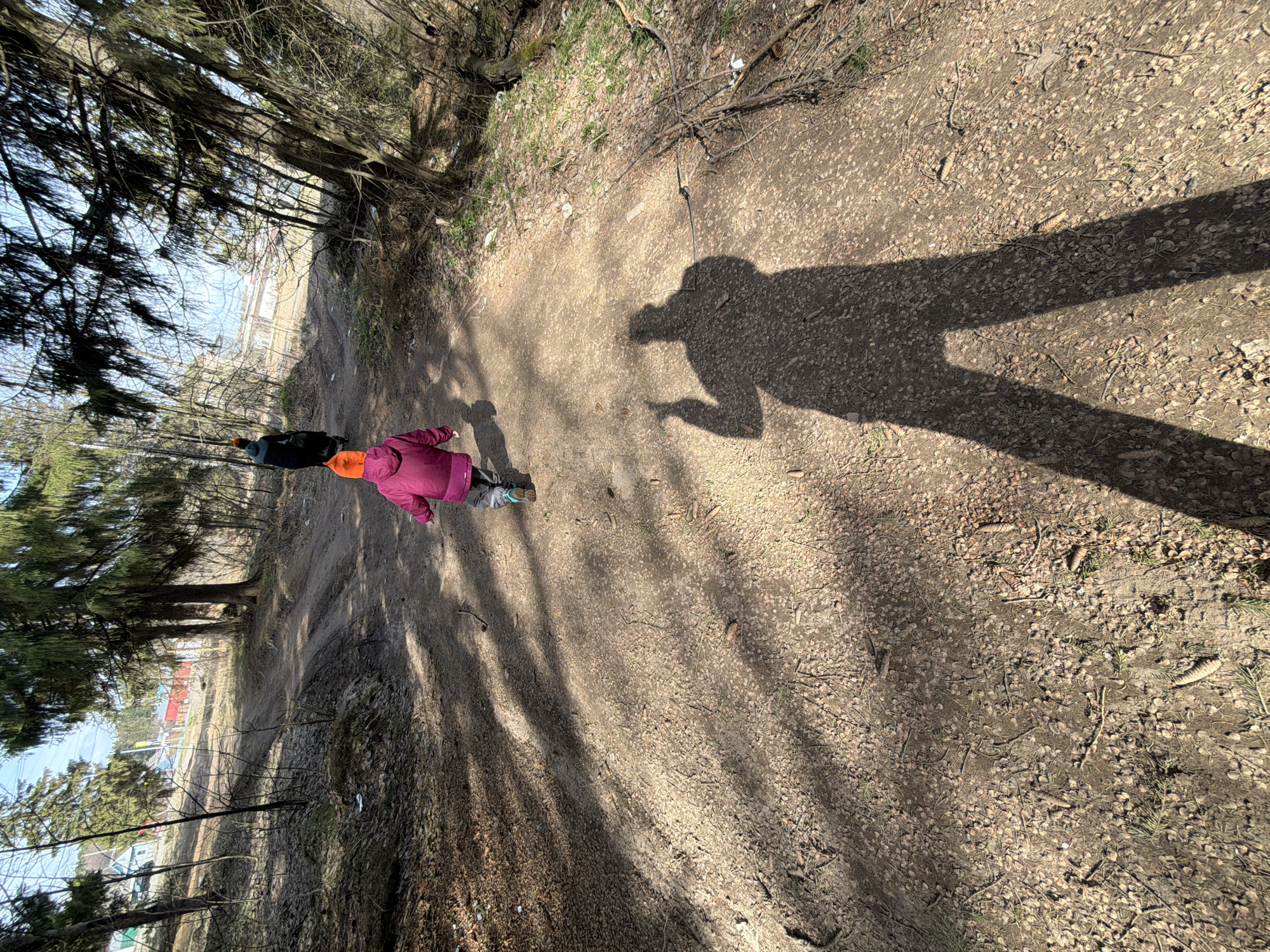 The image depicts a person, possibly a child, wearing a pink jacket and an orange hat, walking along a dirt path in a park in Chaikovsky, Russia. Another person, wearing a black jacket, is walking behind. The sun is casting a long shadow of a person pointing, likely the photographer. The path is lined with trees and littered with leaves and debris. In the background, there are buildings and a fence visible through the trees.