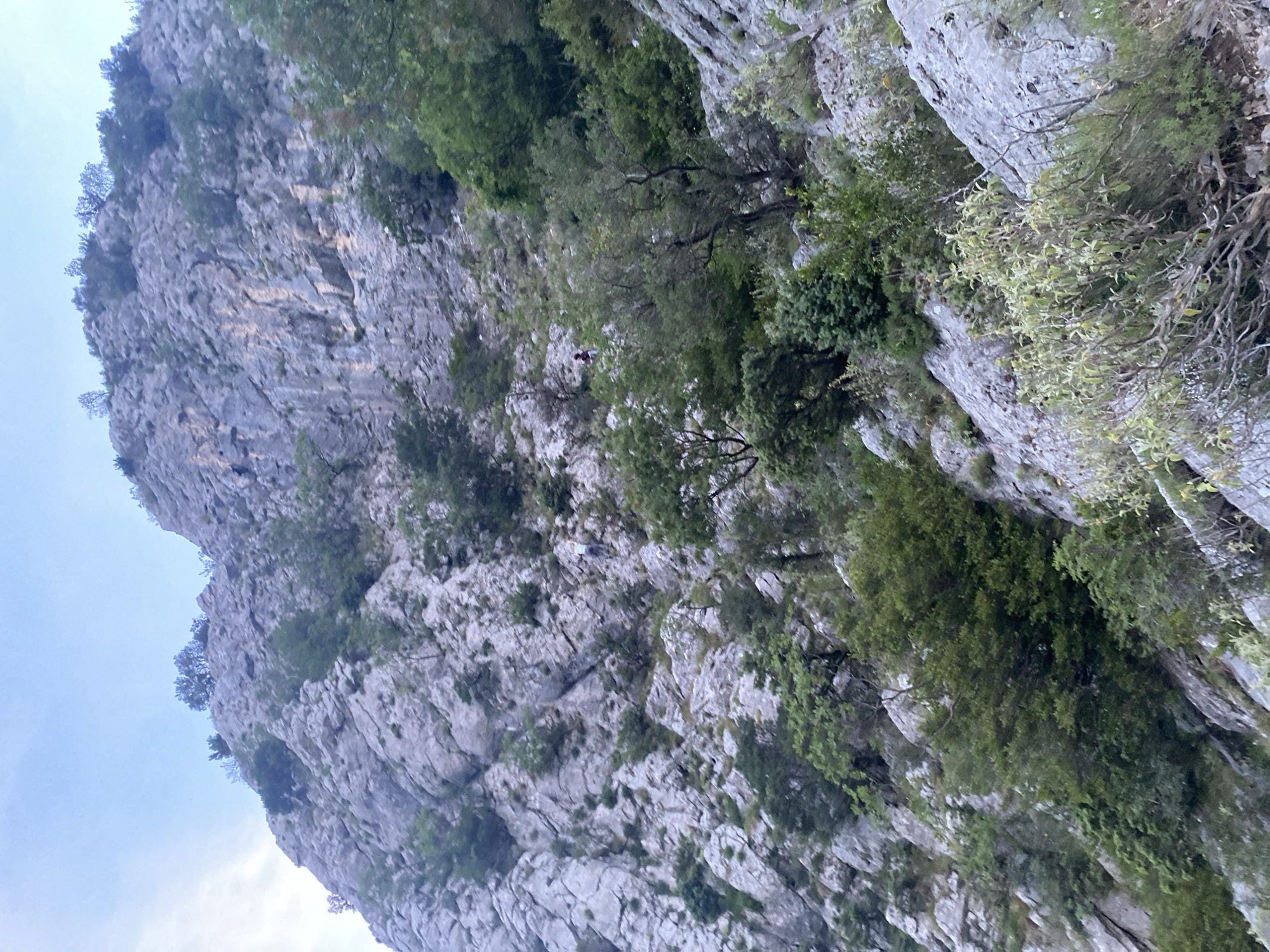 The image captures a steep, rugged limestone cliff face in Zupci, Montenegro, under an overcast sky. The massive rock formation dominates the frame, displaying various shades of grey and light brown, with intricate textures, cracks, and ledges.
Vegetation, including trees and dense bushes in different shades of green, grows sparsely on the cliff, clinging to its surfaces and filling crevices. Some trees appear to be deciduous, while others are coniferous or evergreen.
Two very small, distant human figures are visible on the cliff face, indicating outdoor activity. One figure, clad in light-colored clothing (possibly a white top), is positioned towards the mid-left area, amidst some trees and rocks. A second, even more subtle figure can be discerned higher up and to the left of the first, blending almost entirely with the rock. Their presence suggests activities such as rock climbing or strenuous hiking.
The time of day appears to be daylight, with the overcast conditions providing soft, diffused lighting. The overall scene conveys a sense of wild, natural grandeur and the challenge of the rugged terrain. No visible text is present in the image.