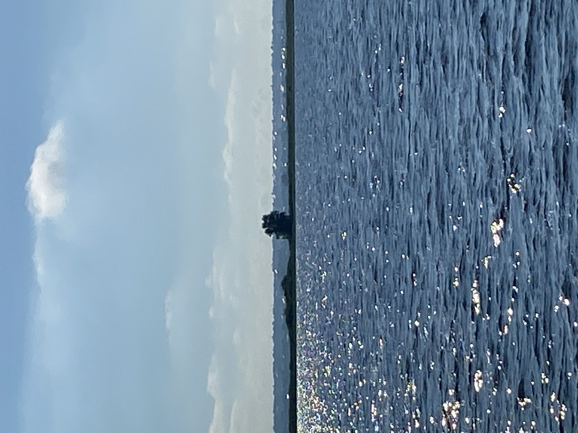 The image depicts a serene natural scene, split vertically between sky and water. The left half showcases a light blue sky with soft, wispy clouds, suggesting a clear or partly cloudy day. The right half is dominated by a body of water, possibly a lake or ocean, with a textured surface reflecting sunlight. The water appears dark blue, and the sunlight creates numerous sparkling highlights across its surface, giving it a shimmering quality.
In the distance, along the horizon line where the sky meets the water, a silhouette of land is visible. A solitary, dark tree stands out against the sky on this distant landmass, adding a focal point to the landscape. The overall impression is one of tranquility and natural beauty.
The image appears to have been taken during the daytime, likely late morning or afternoon, given the bright sunlight. There are no people or man-made objects clearly visible in the frame, emphasizing the natural setting. The composition suggests a wide, open space, possibly a waterfront view. There is no visible text in the image.