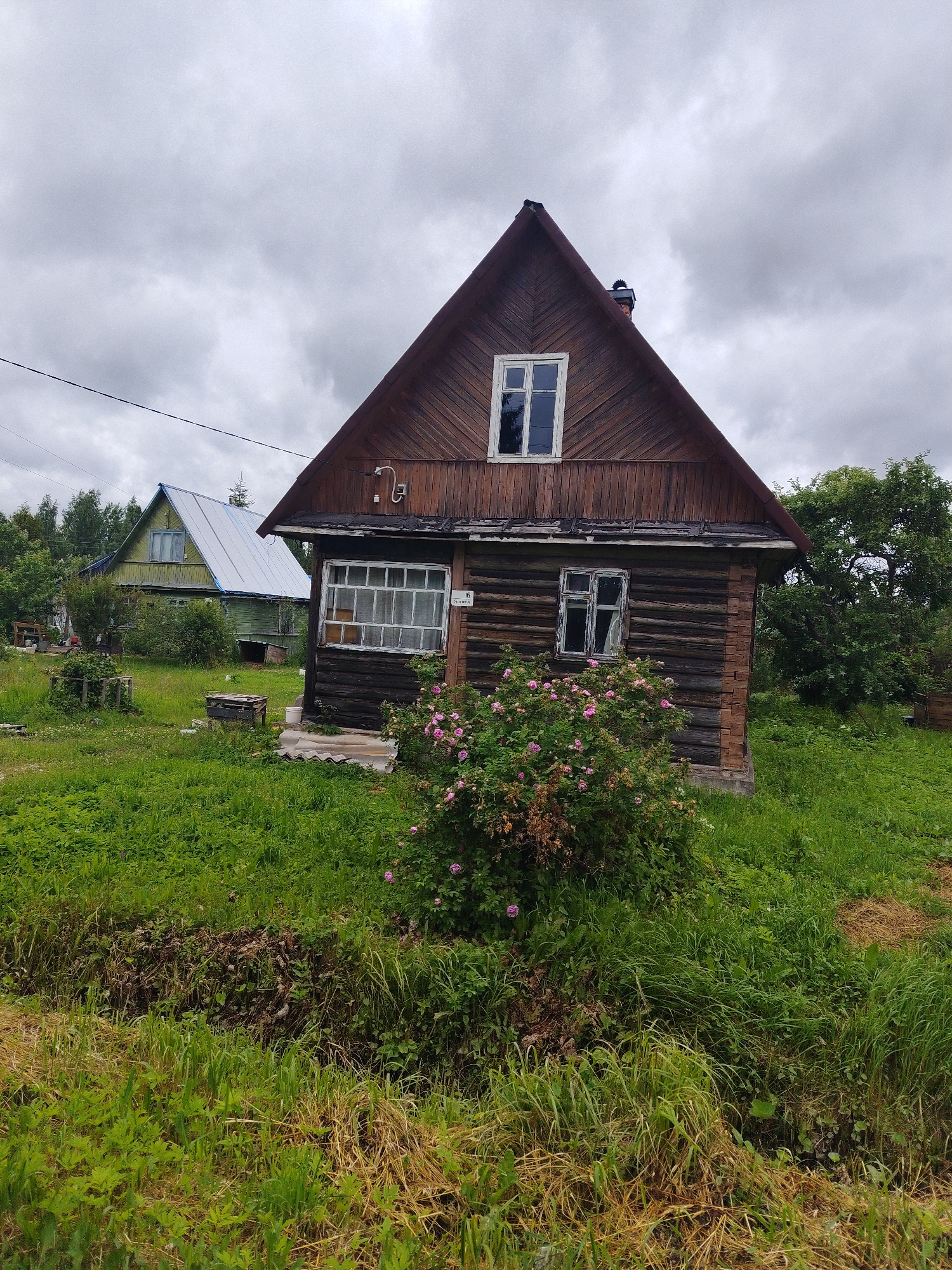 In the village of Mshinskaya, Russia, a wooden house with a pitched roof stands on a grassy plot. The house is constructed from dark logs and features a prominent wooden facade with diagonal planking on the upper story. Two windows are visible on the front of the house: a smaller, square window on the upper level and a larger, multi-paned window on the lower level. In front of the lower window, a bush with pink flowers is in bloom. To the left of this house, another, older house is visible, painted green with a metal roof. The surrounding area is characterized by lush green grass and trees. The sky is overcast with gray clouds.