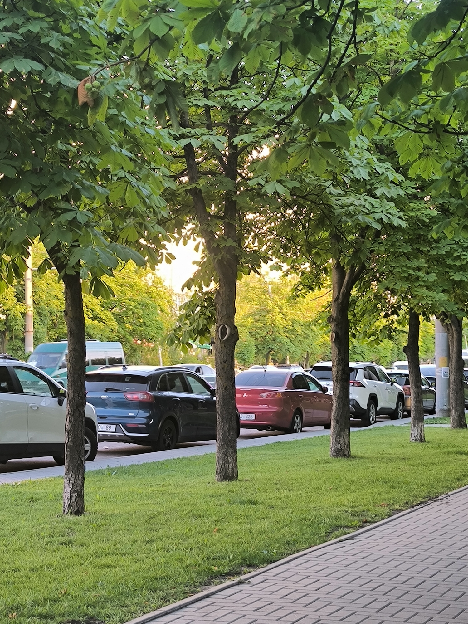 The image shows a tree-lined street in Chișinău, Moldova, with several cars parked along the curb. The trees are deciduous and have full green canopies, suggesting it is late spring or summer. The sun is setting, casting a warm glow through the leaves and creating lens flare. The street appears to be paved with cobblestones on the right side, and there is a strip of green grass between the sidewalk and the parked cars.
The parked vehicles, from left to right, include a white car, a dark blue SUV, a red sedan, a white SUV, and several other vehicles further down the street. A light blue van is visible behind the white car on the left. The license plate of the dark blue SUV reads "D 89". The license plate of the red sedan is partially obscured but appears to have a series of numbers and letters including "326". The overall scene depicts a typical urban streetscape with parked cars and mature trees.